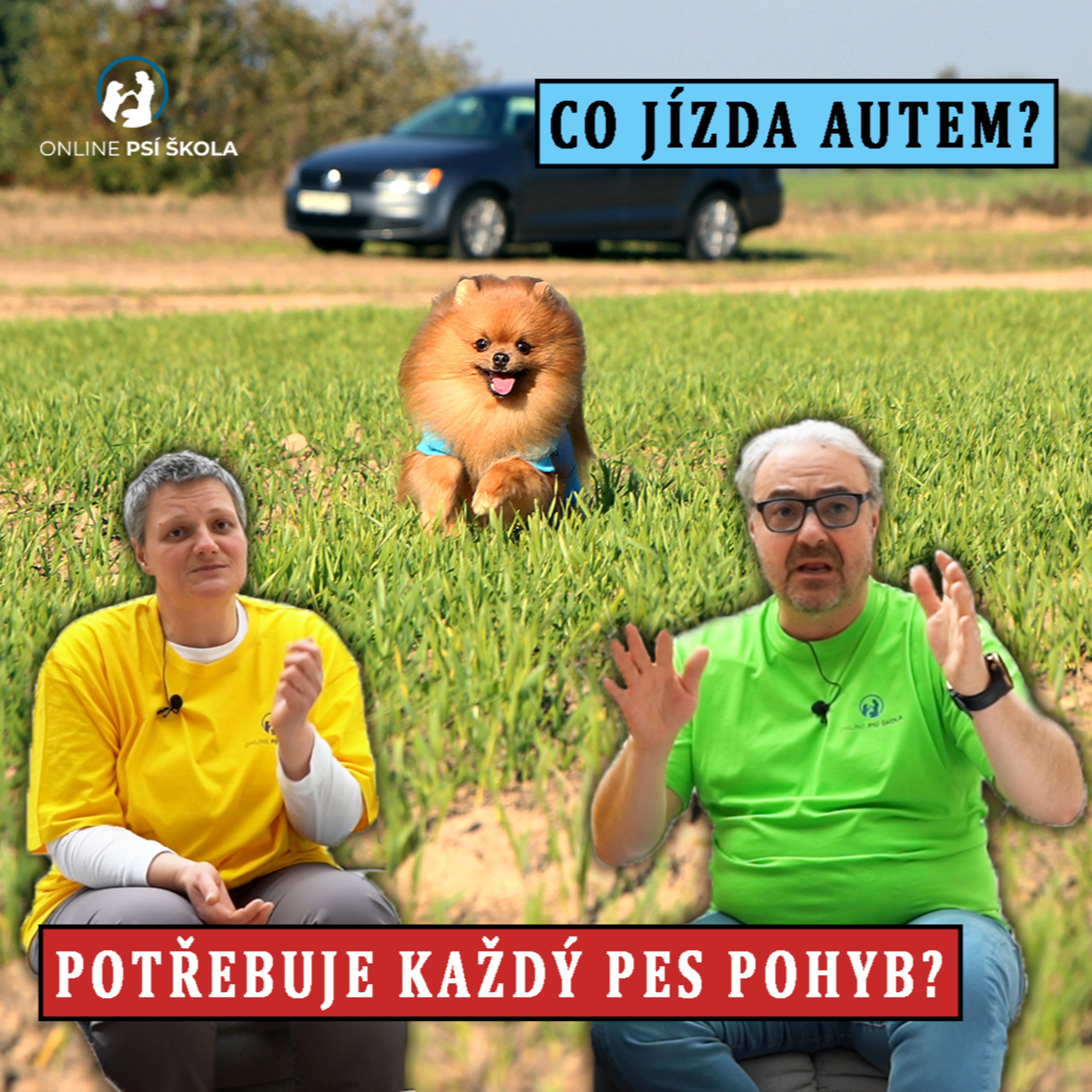 #40 Kolik by měl mít pes pohybu? A co jízda autem? episode artwork