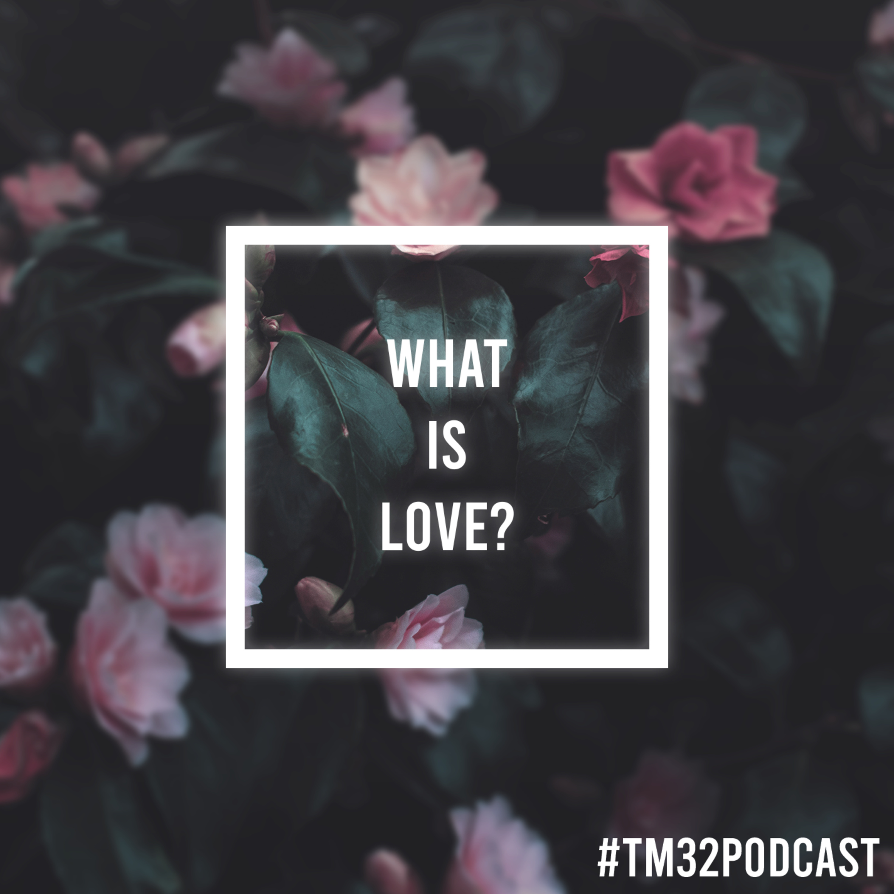 What is Love? episode artwork