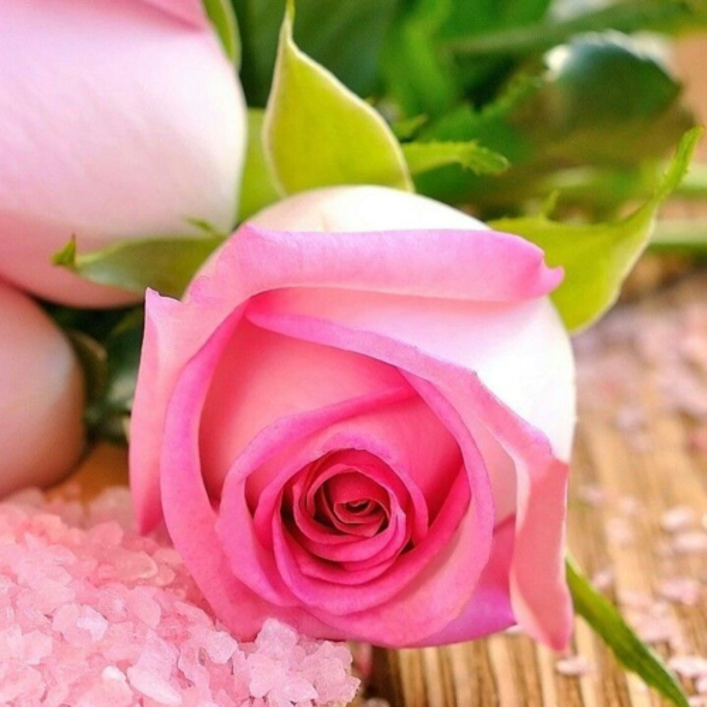 Amor Bonito