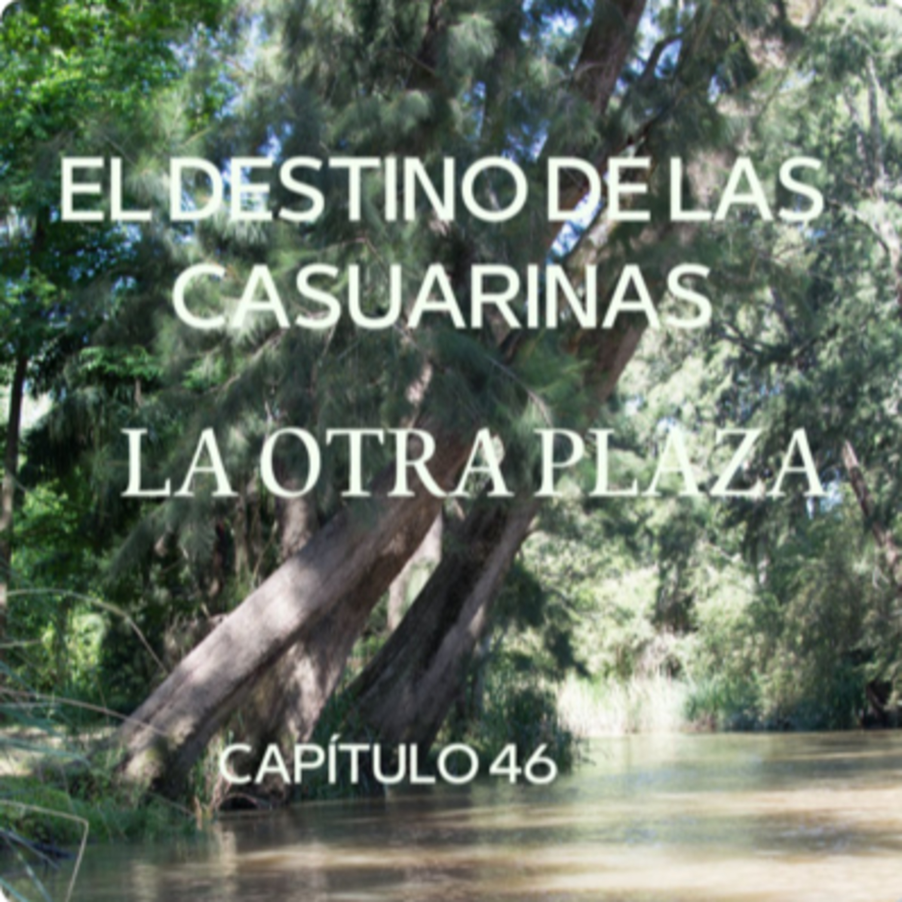 AUDIOLIBRO \