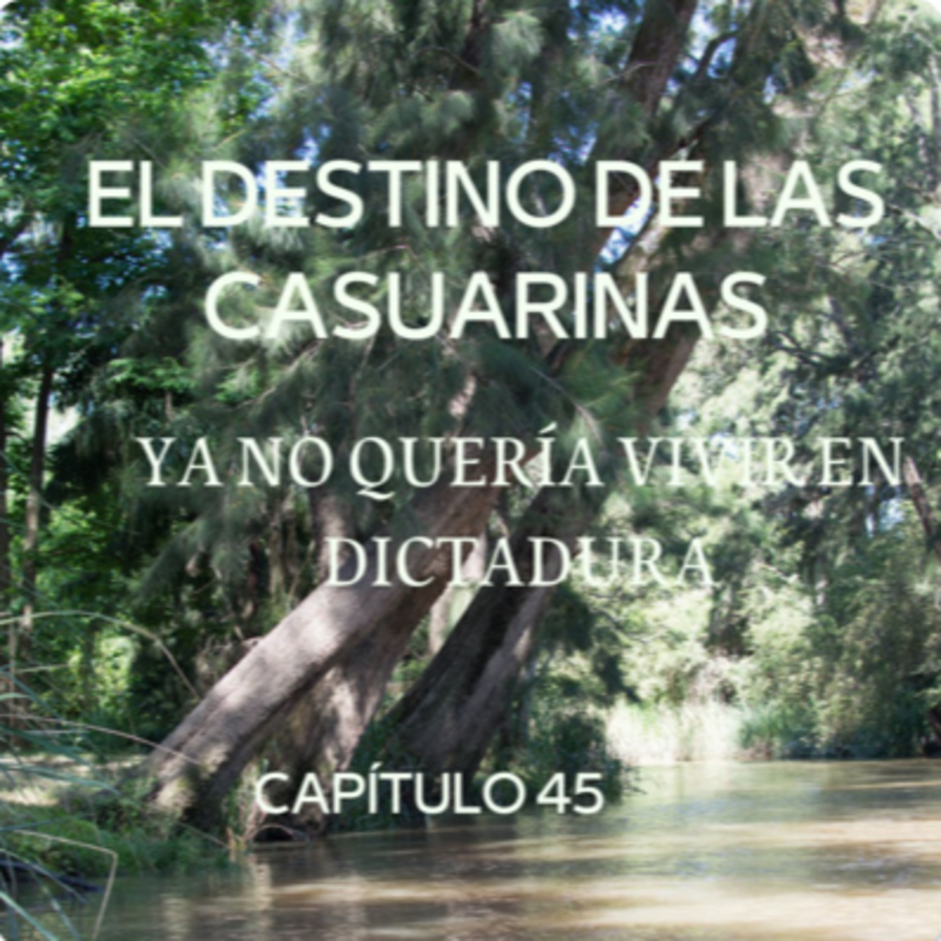 AUDIOLIBRO \