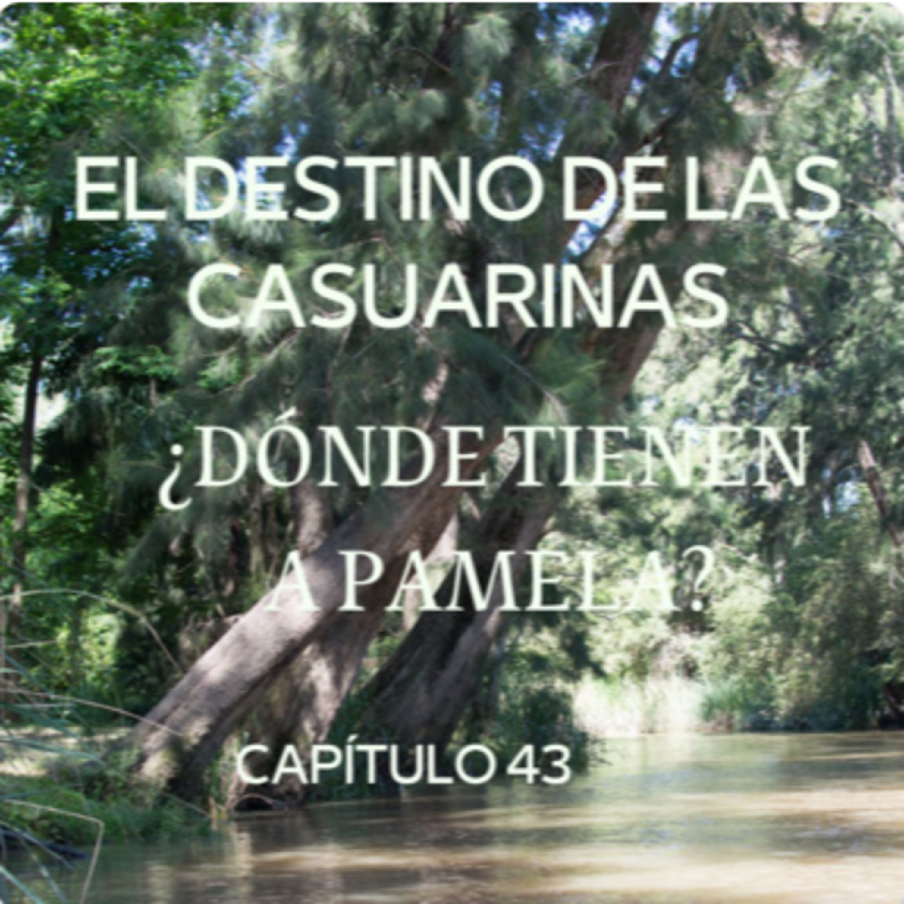AUDIOLIBRO \