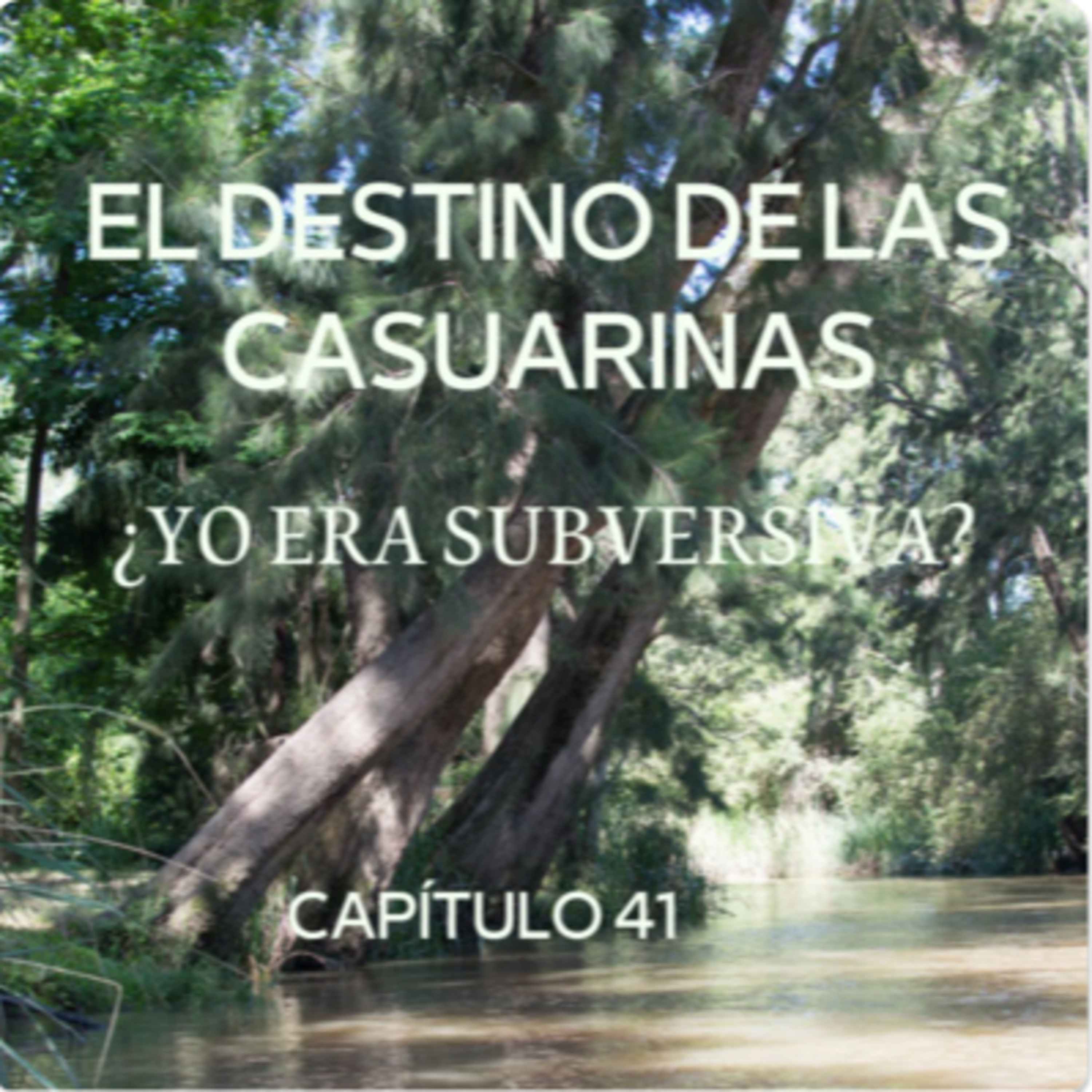 AUDIOLIBRO \