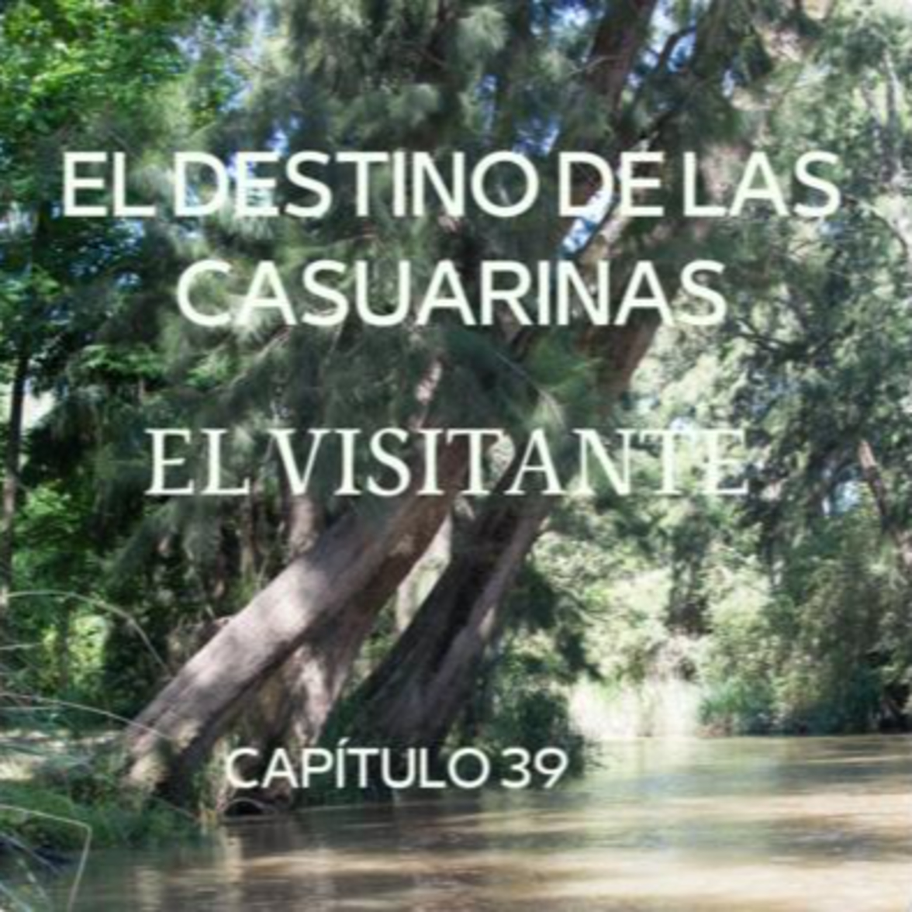 AUDIOLIBRO \