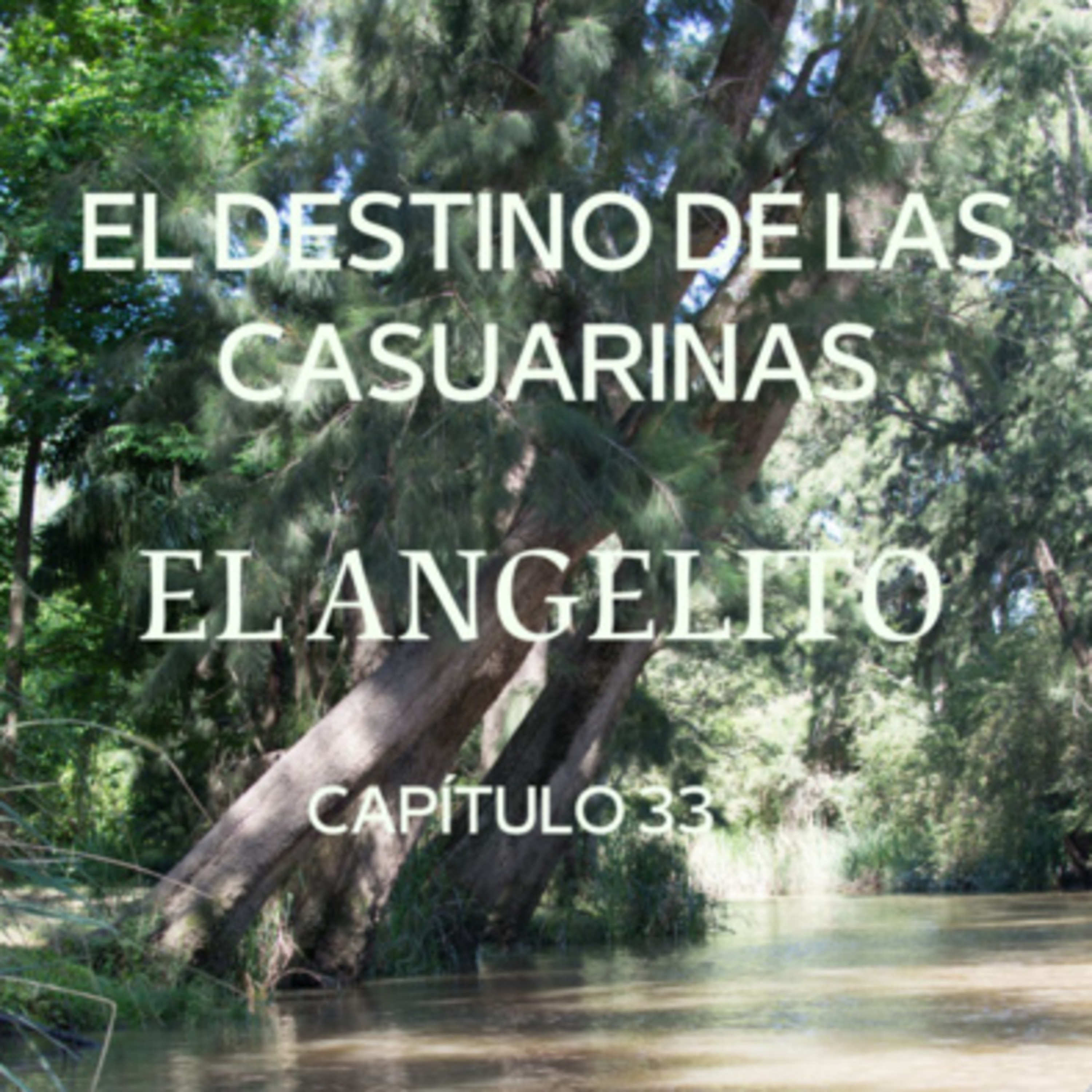 AUDIOLIBRO \