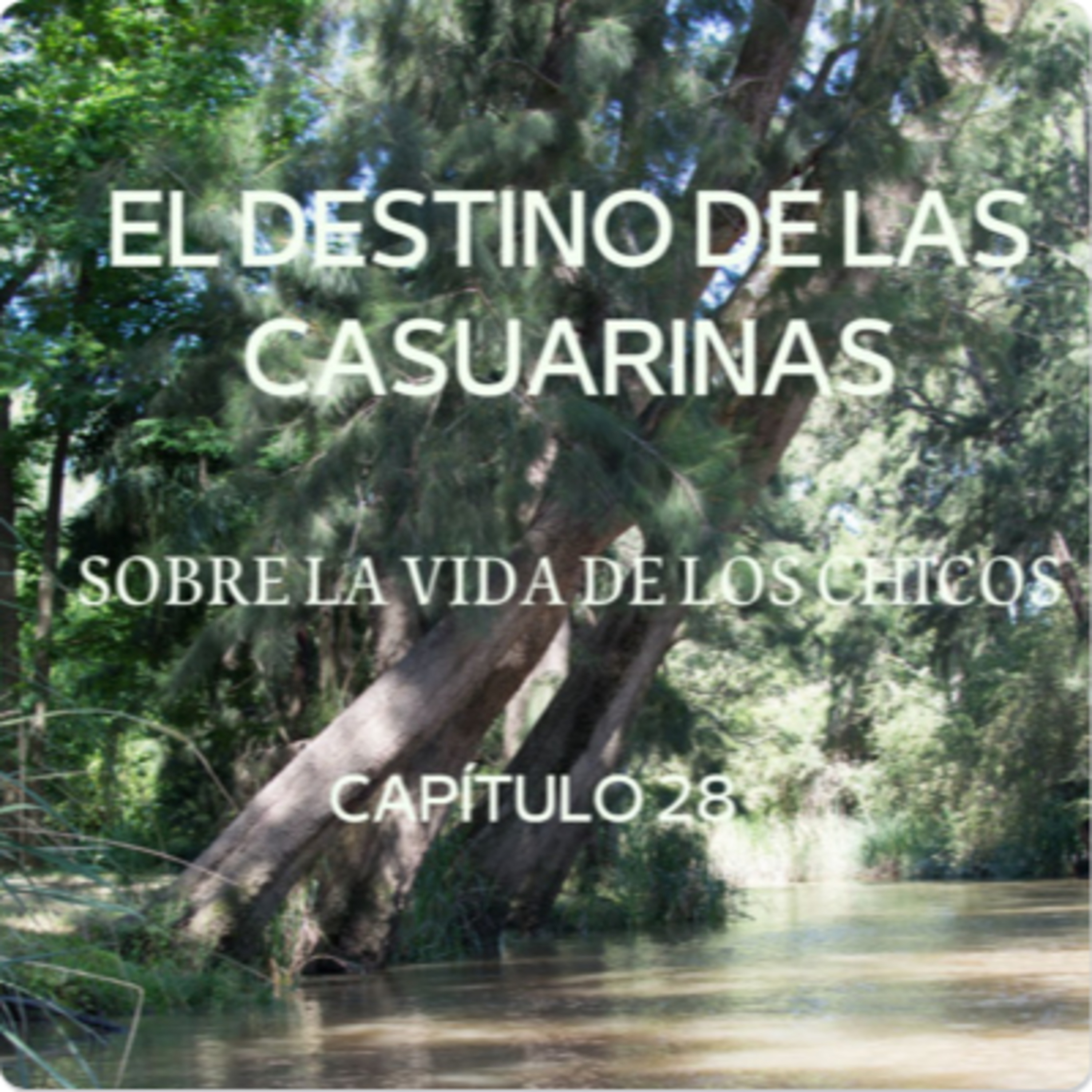 AUDIOLIBRO \