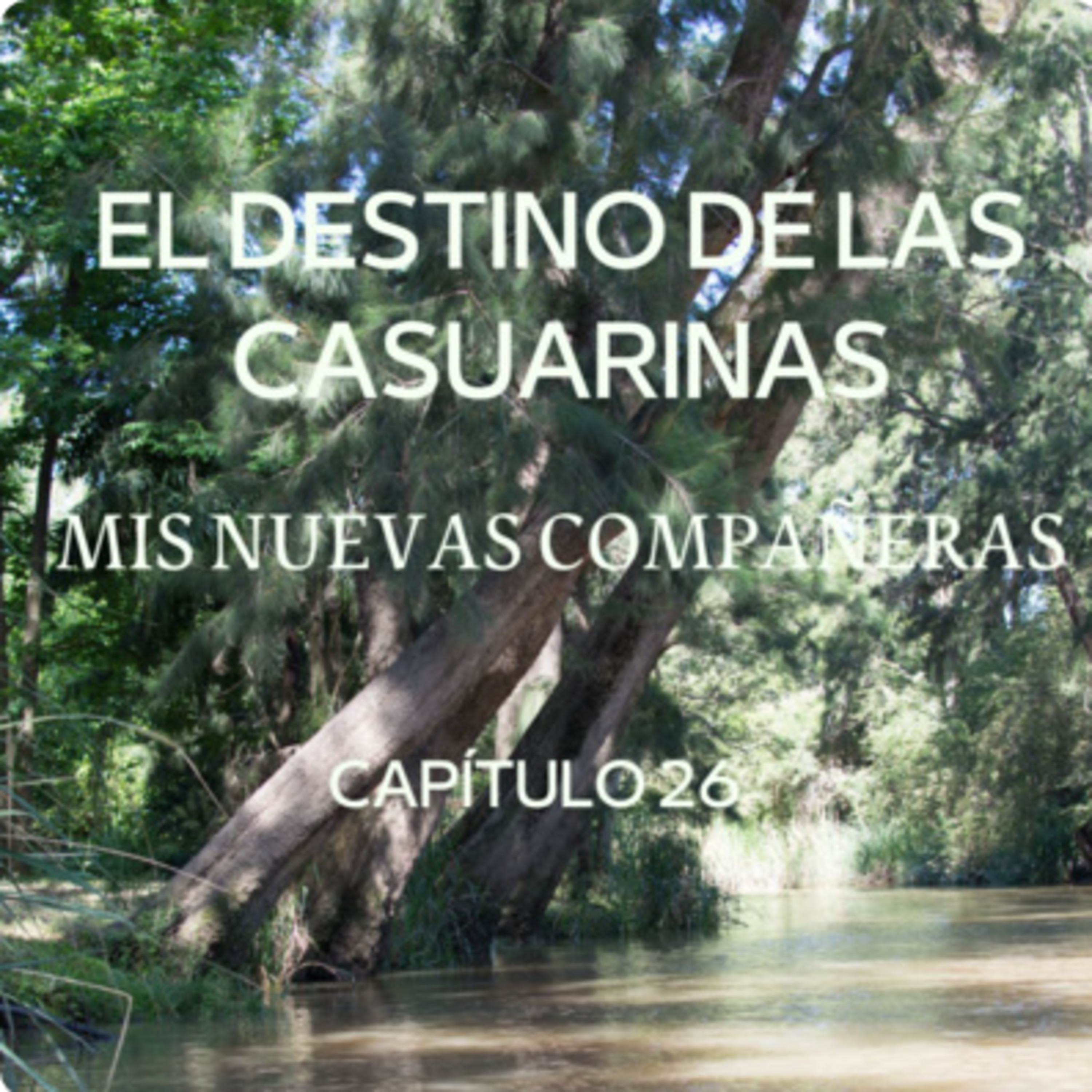 AUDIOLIBRO \