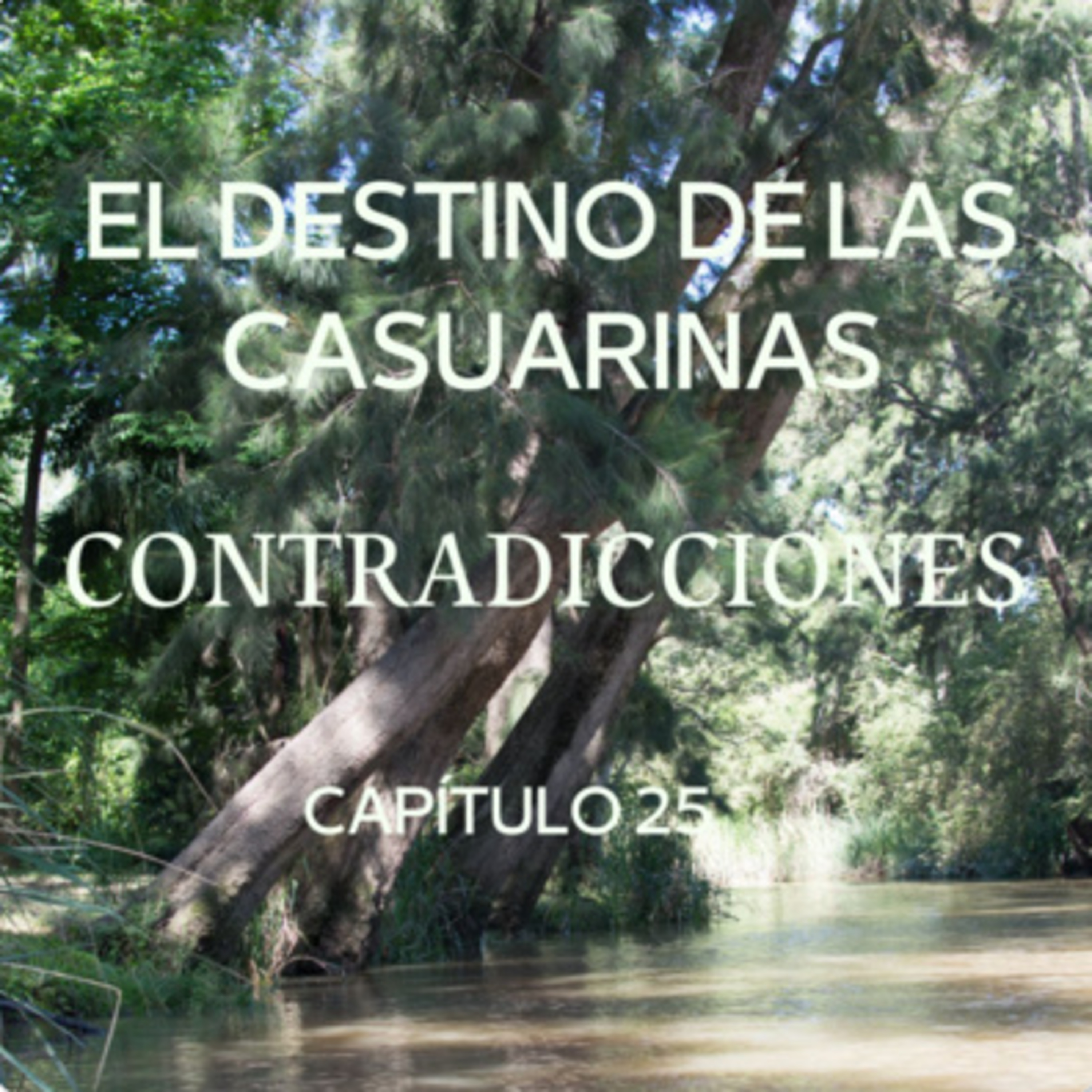 AUDIOLIBRO \