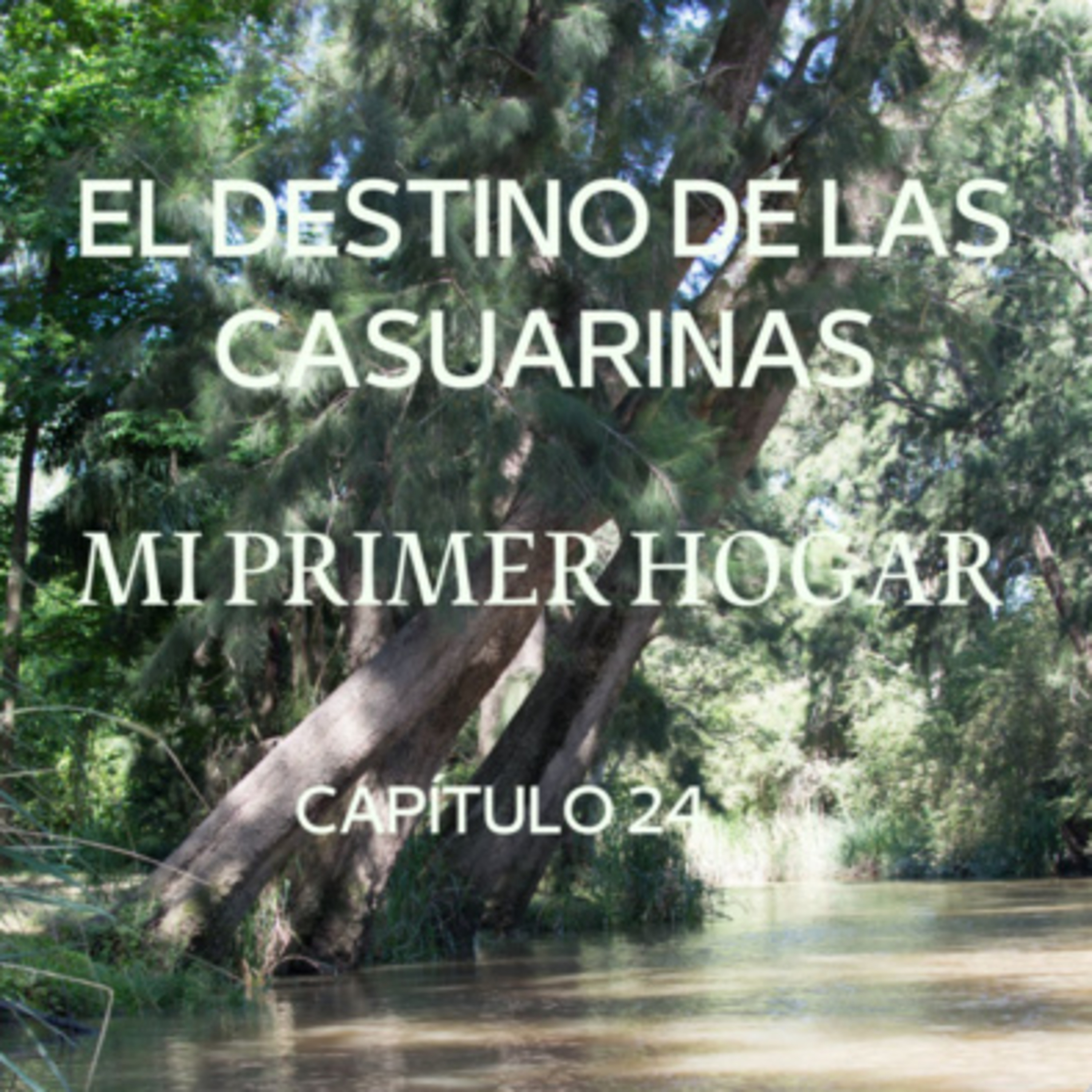 AUDIOLIBRO \