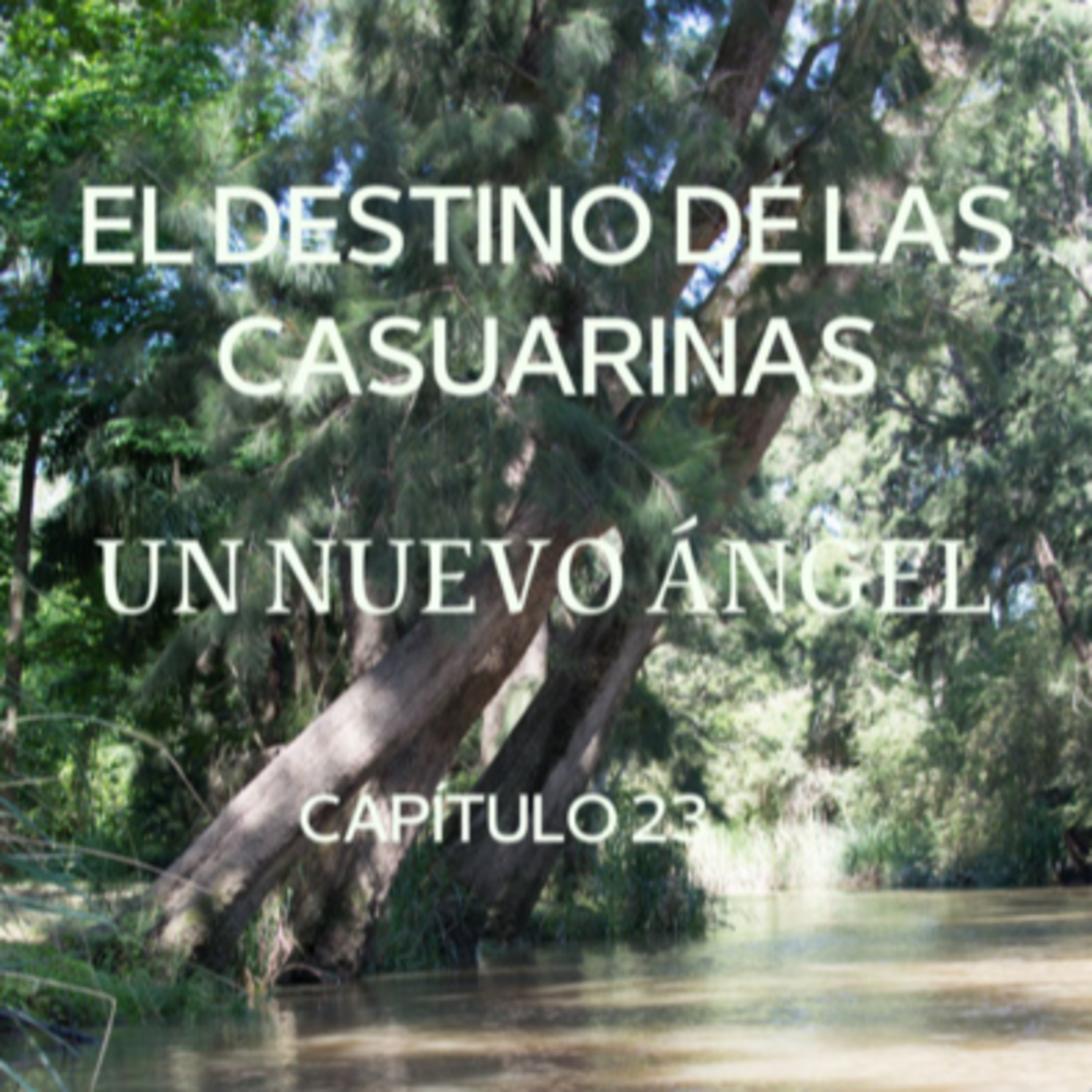 AUDIOLIBRO \
