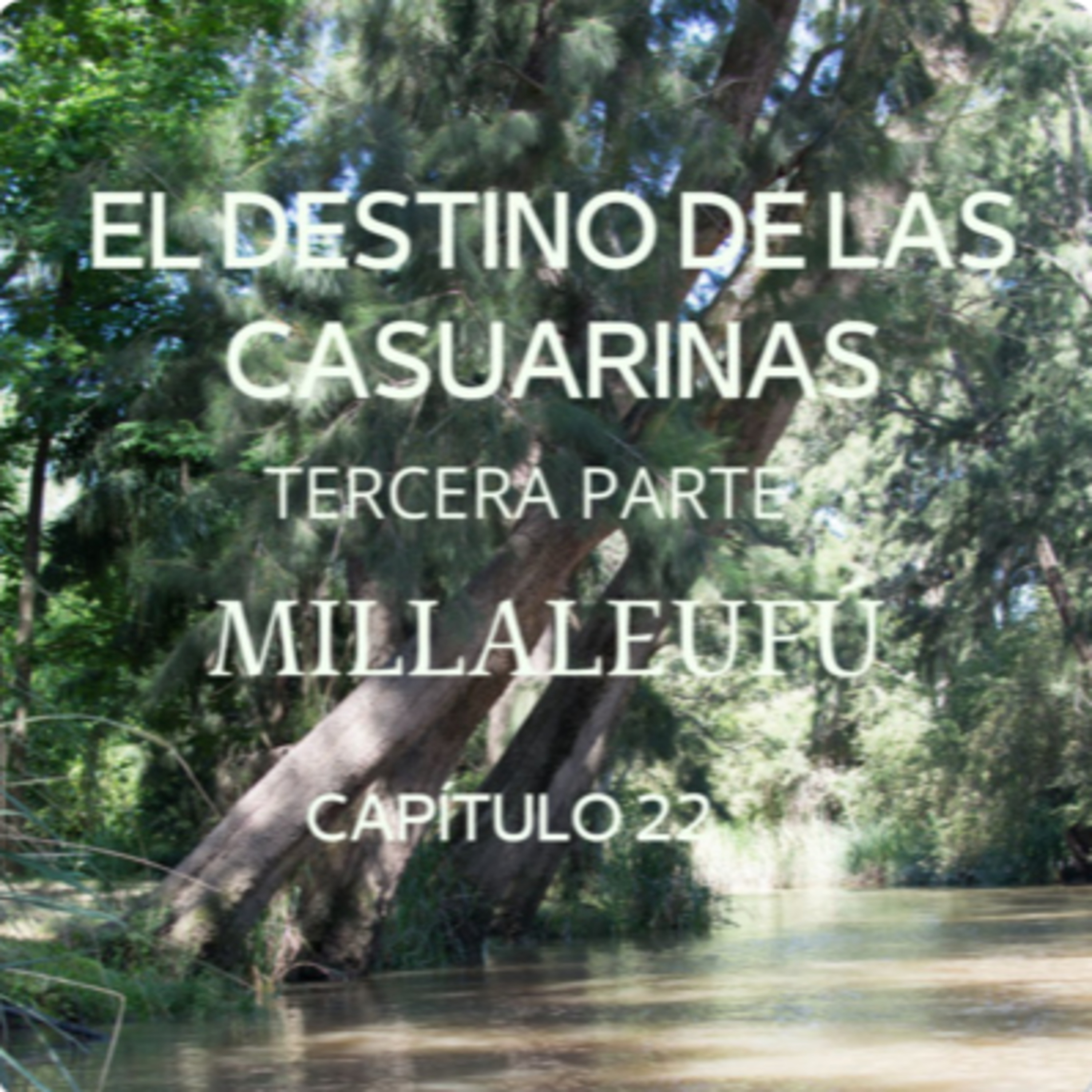 AUDIOLIBRO \