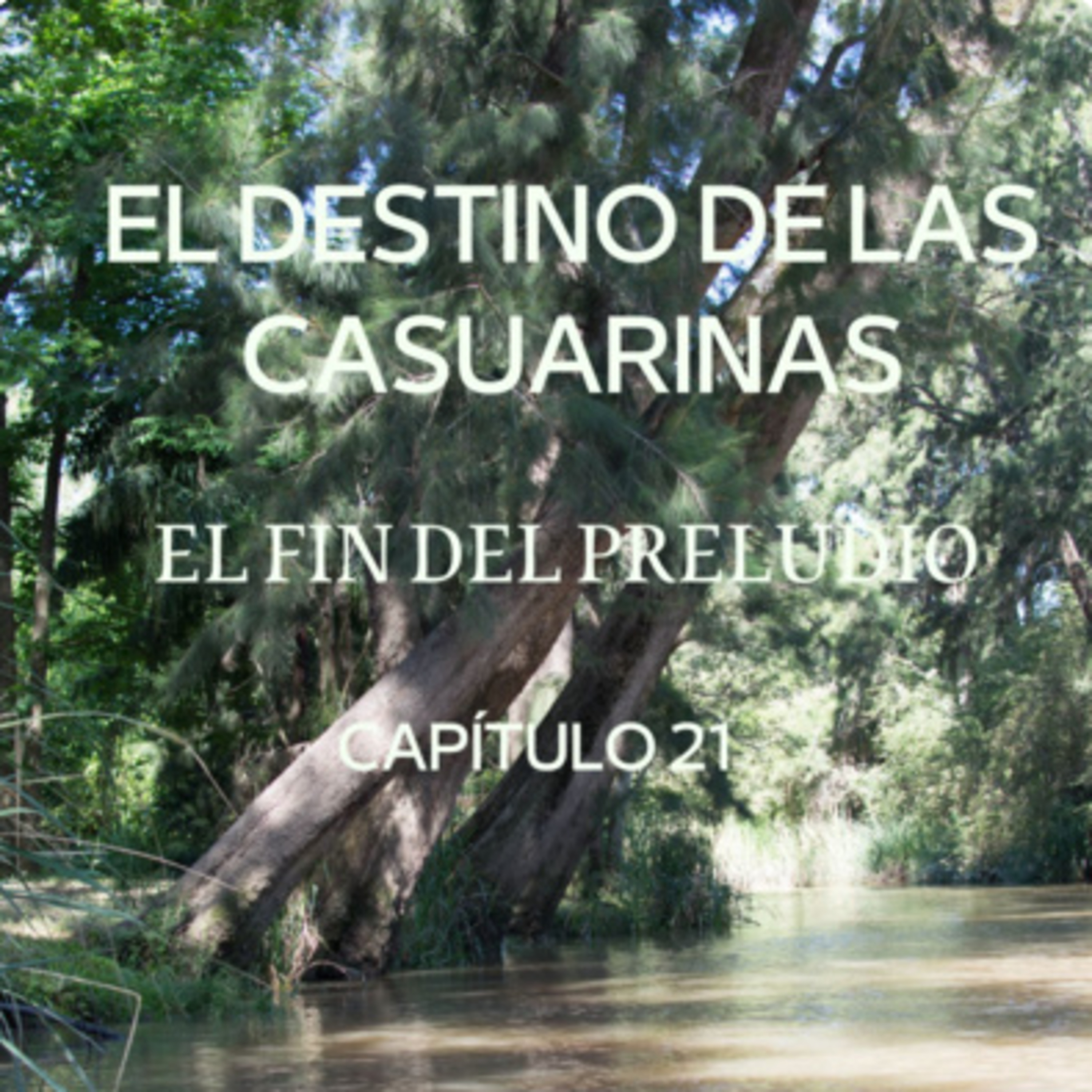 AUDIOLIBRO \