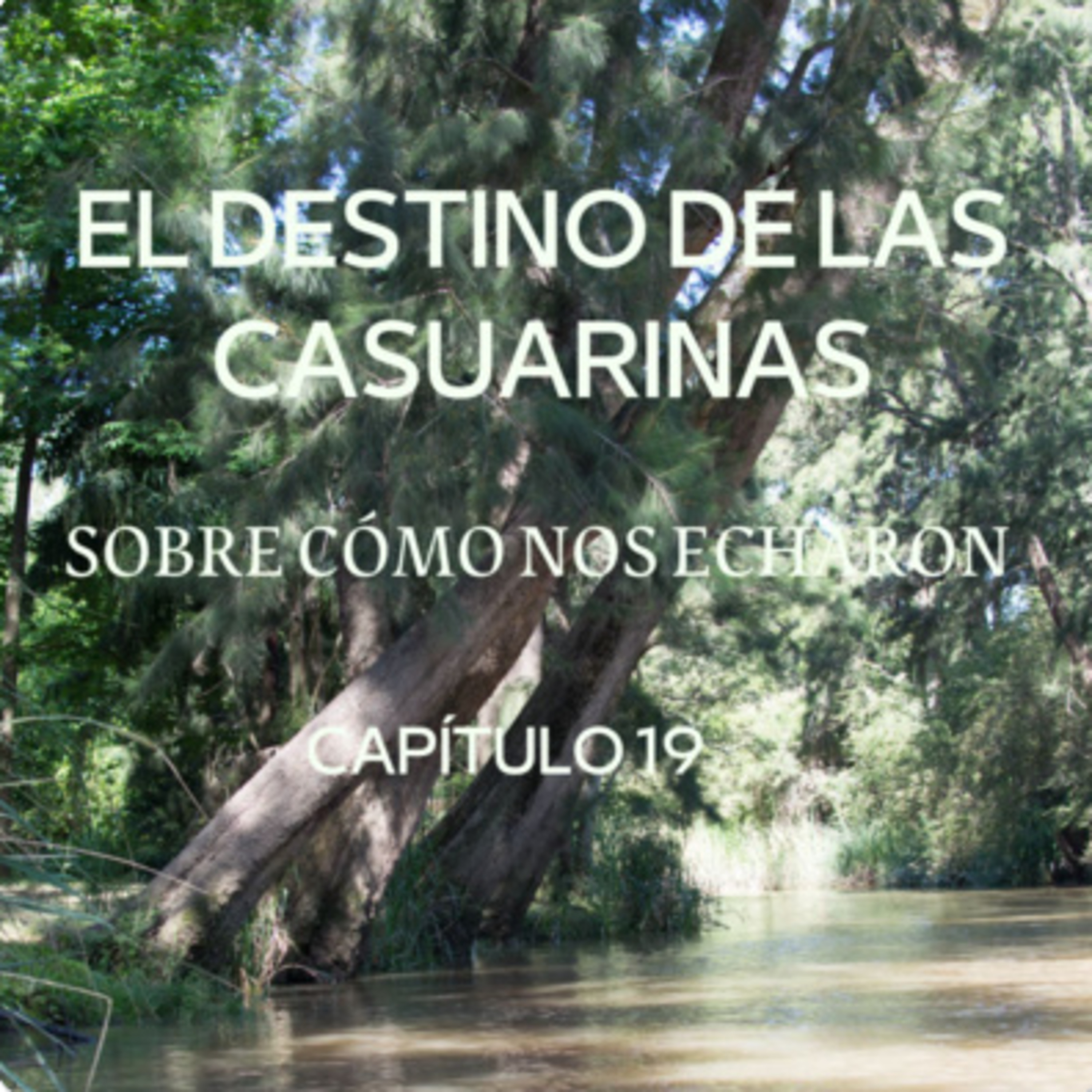 AUDIOLIBRO \