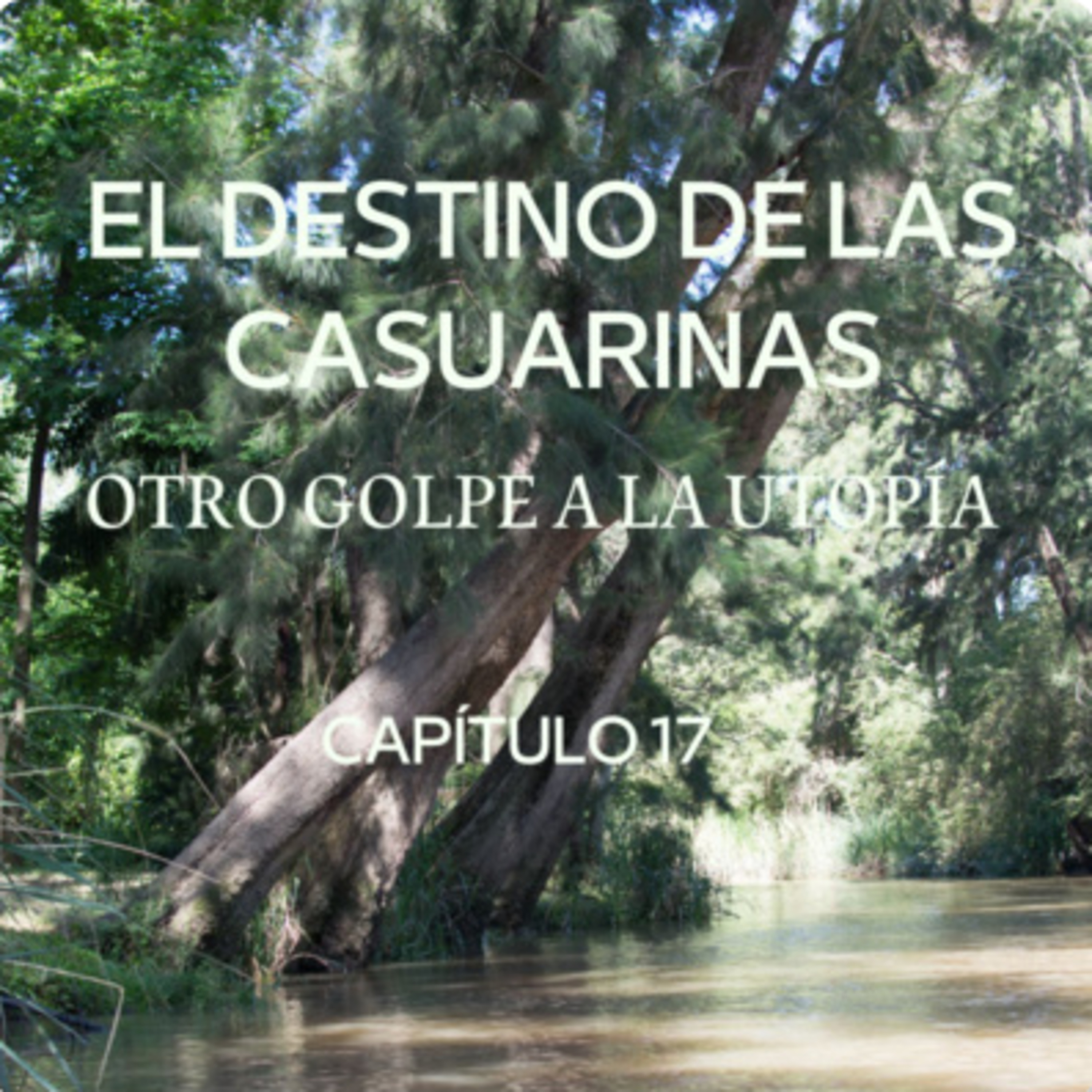 AUDIOLIBRO \