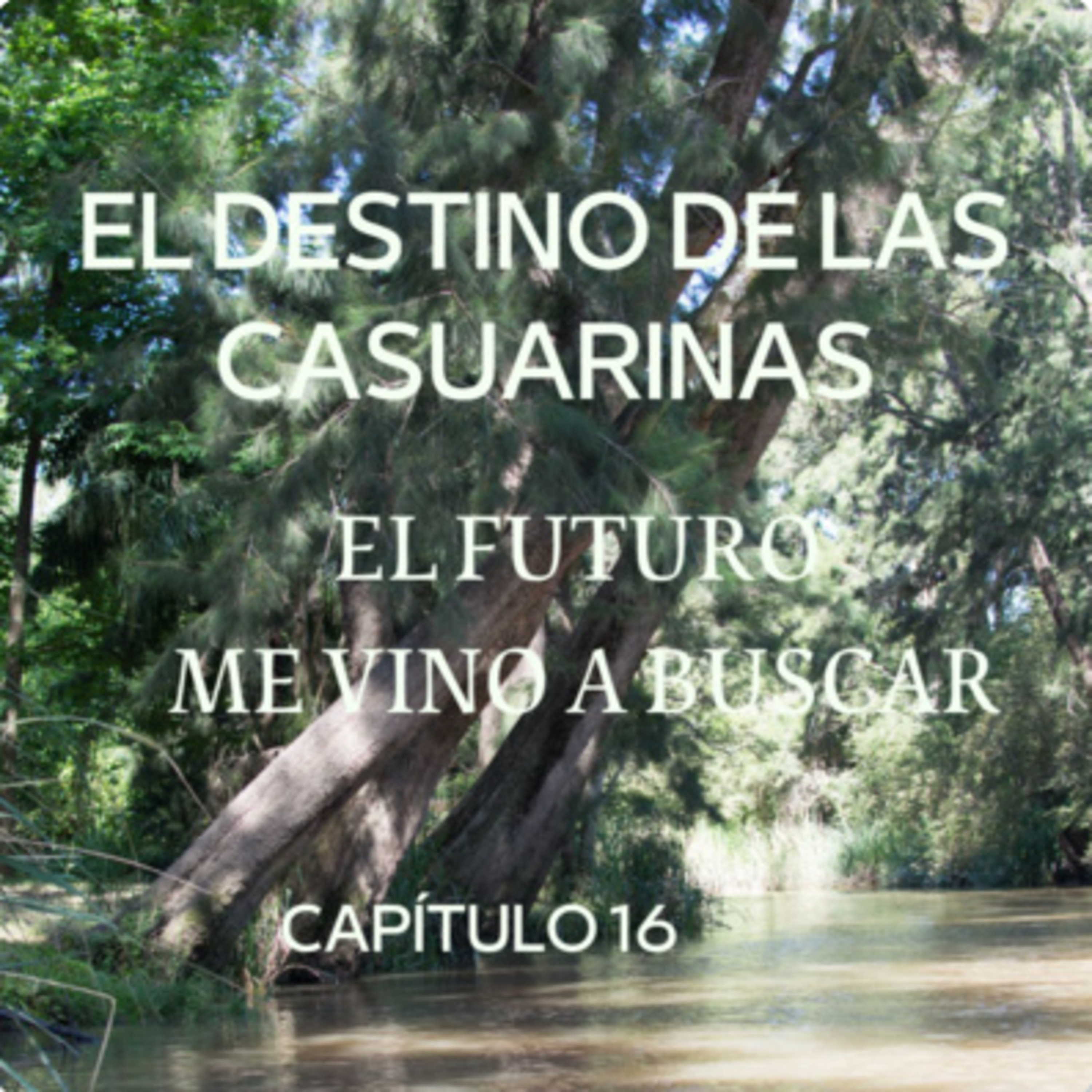 AUDIOLIBRO \