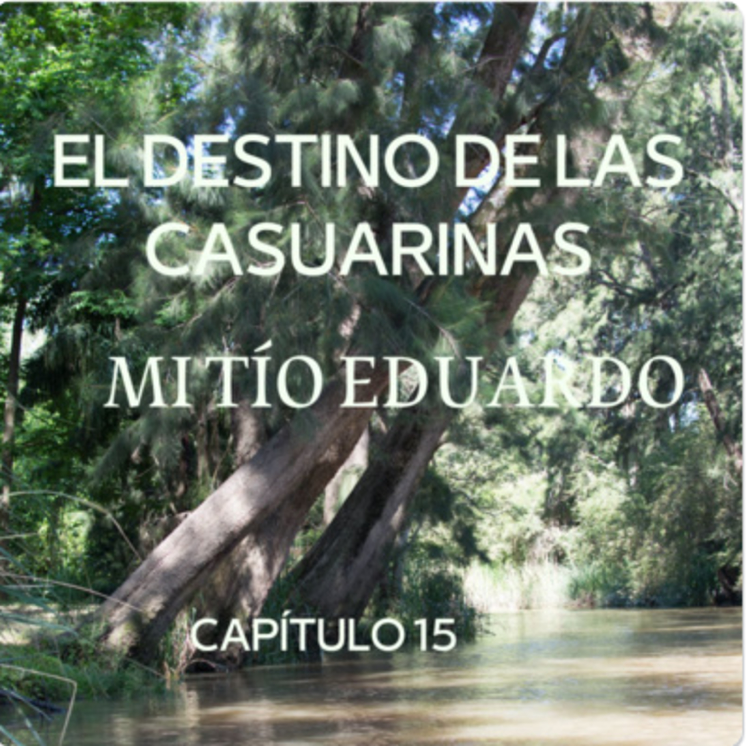 AUDIOLIBRO \
