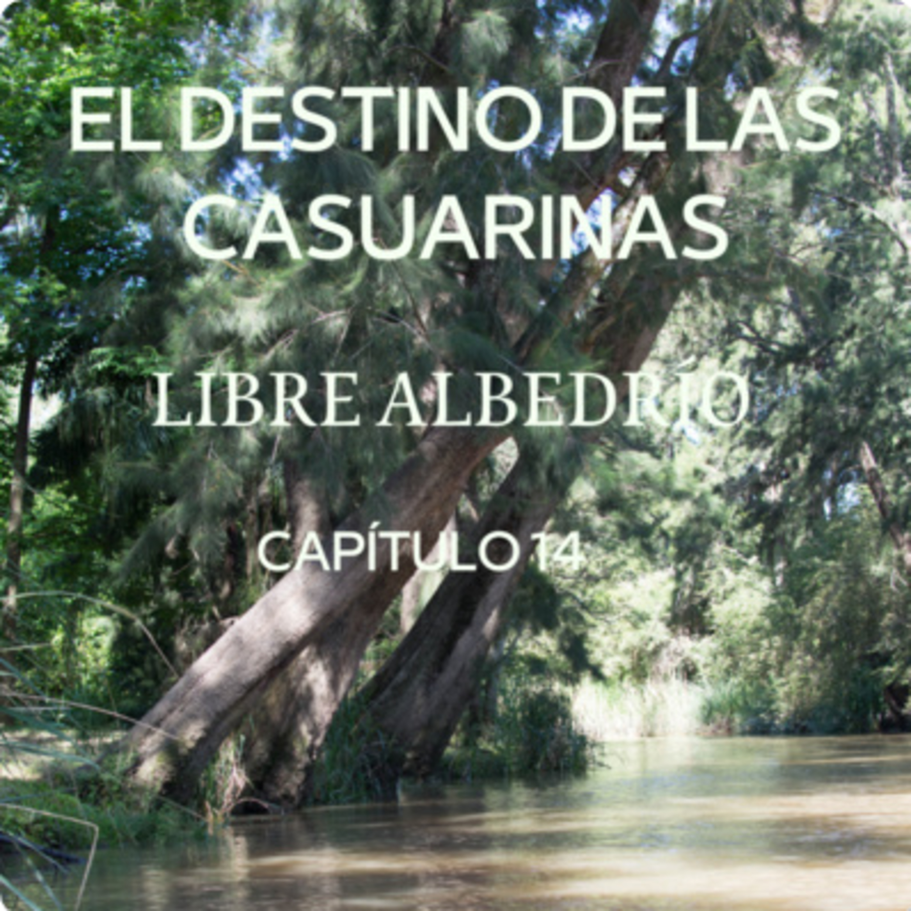AUDIOLIBRO \