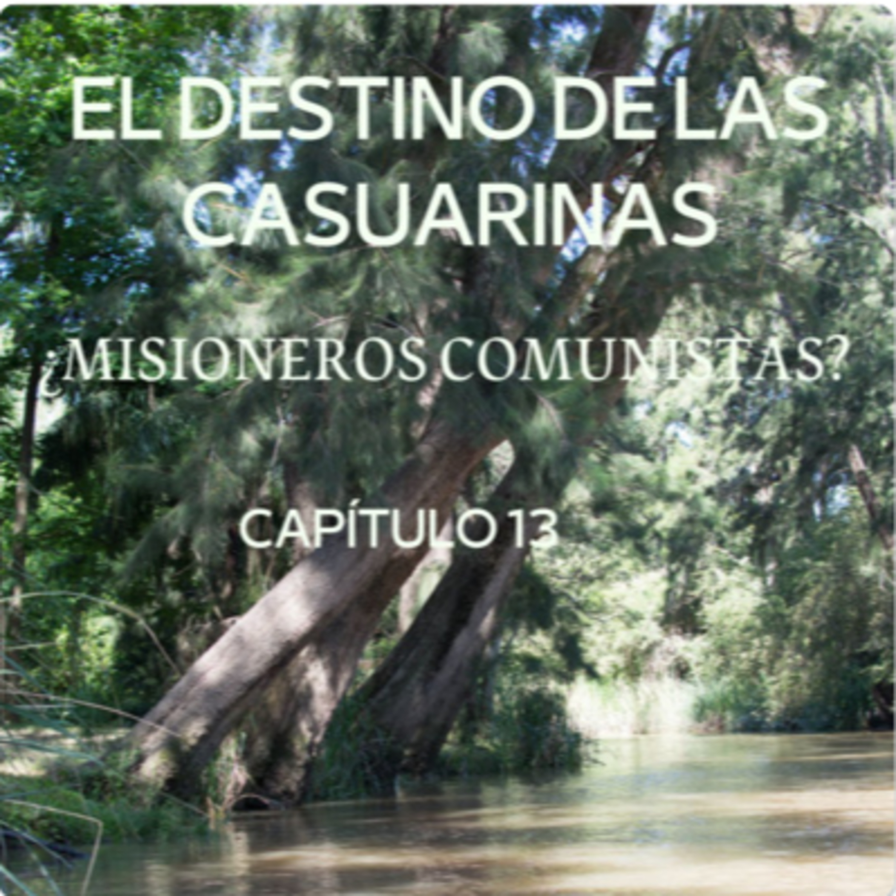 AUDIOLIBRO \