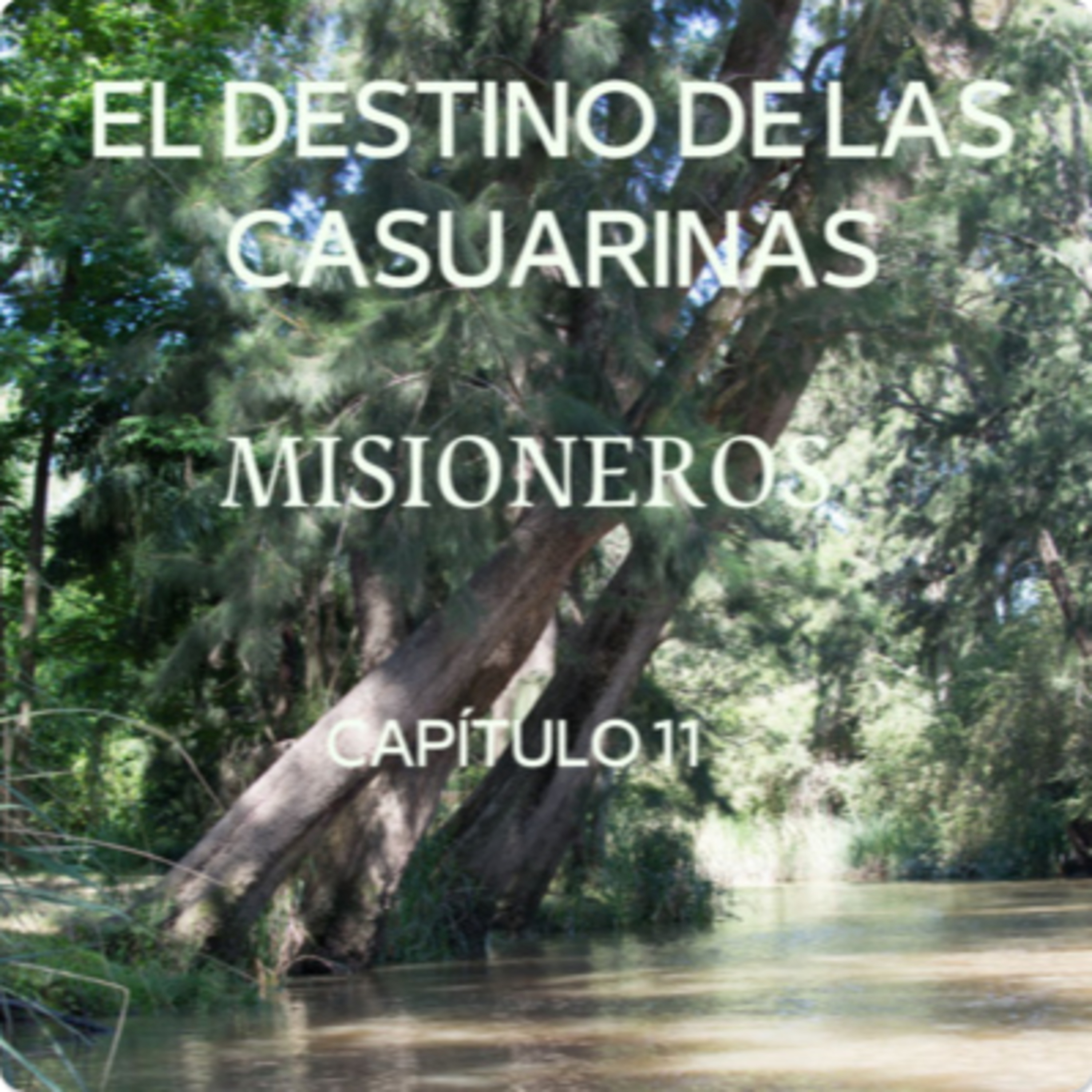 AUDIOLIBRO \