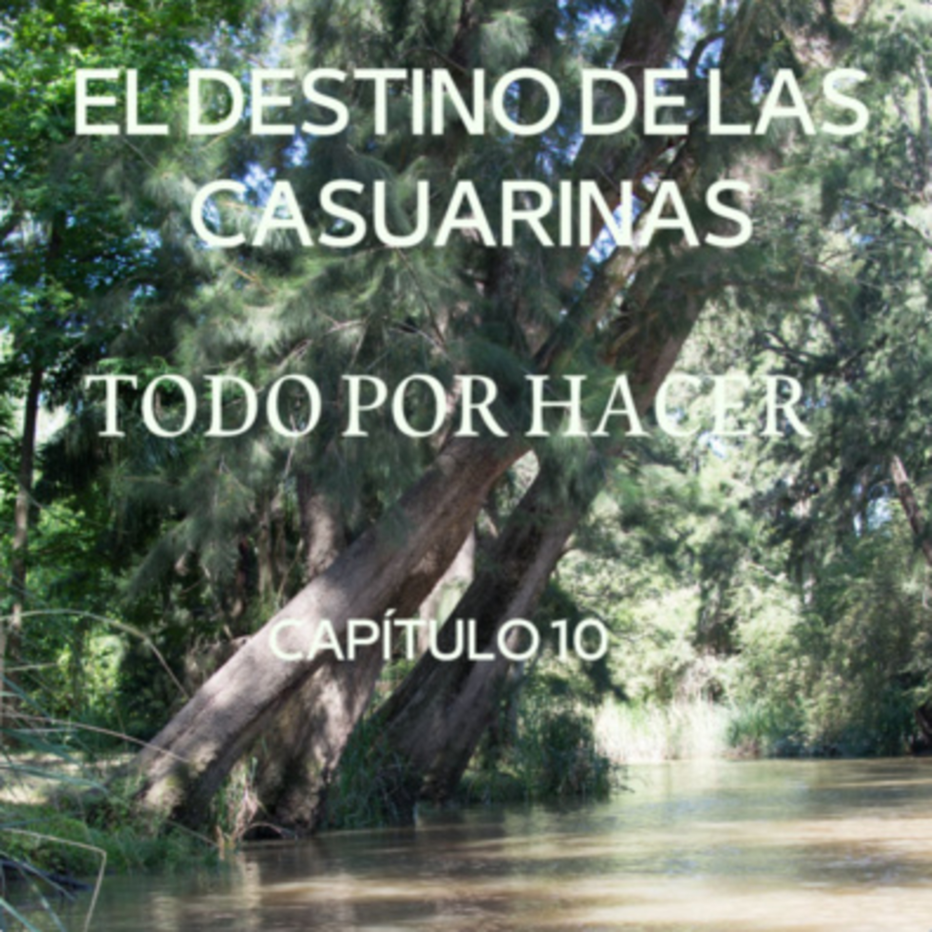 AUDIOLIBRO \