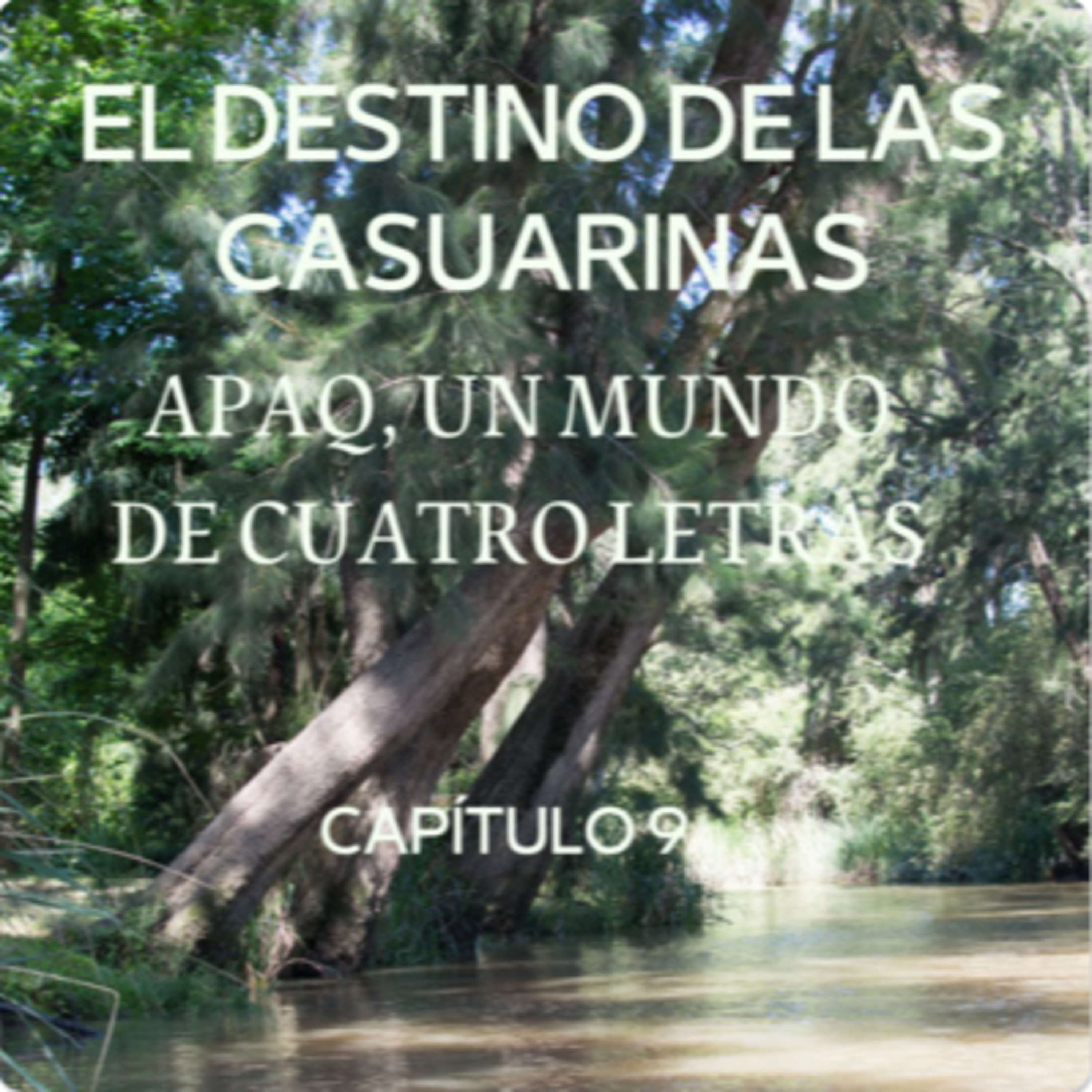 AUDIOLIBRO \