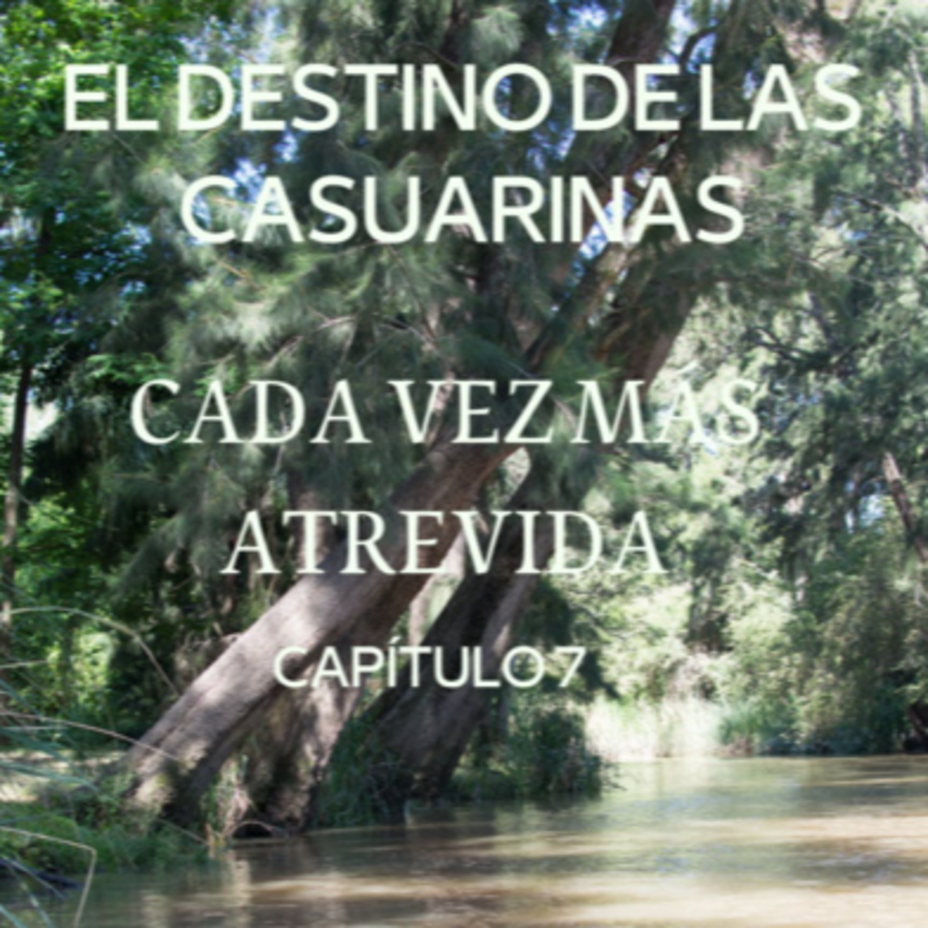 AUDIOLIBRO \