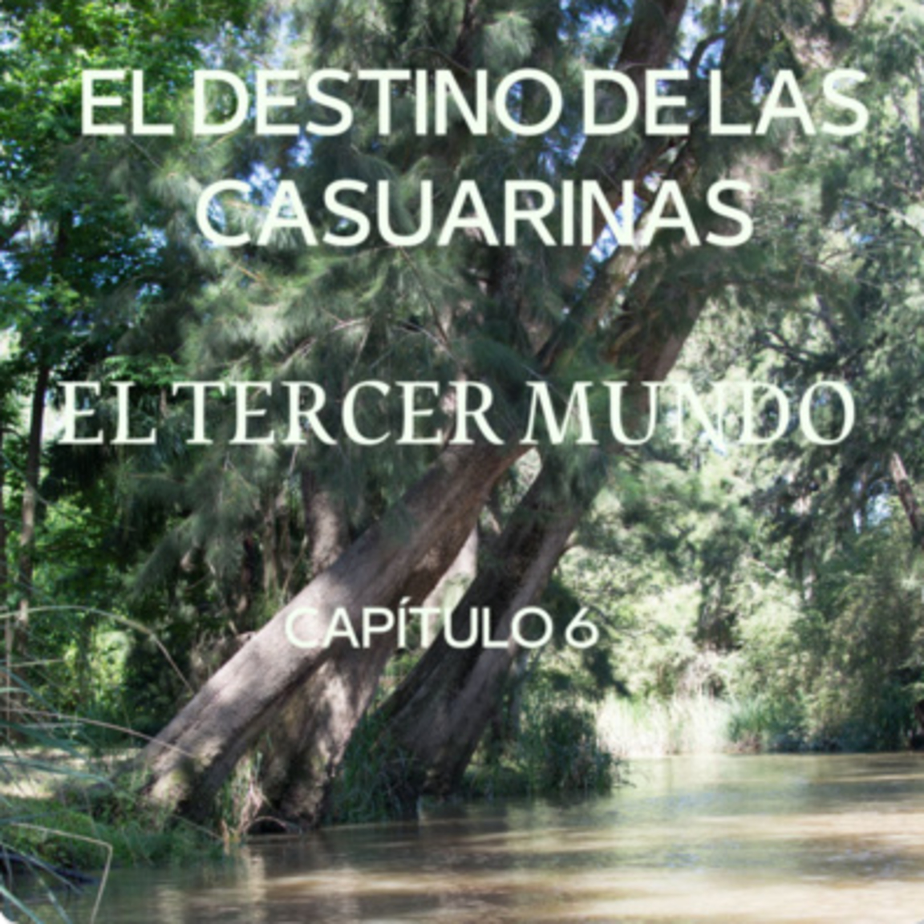 AUDIOLIBRO \