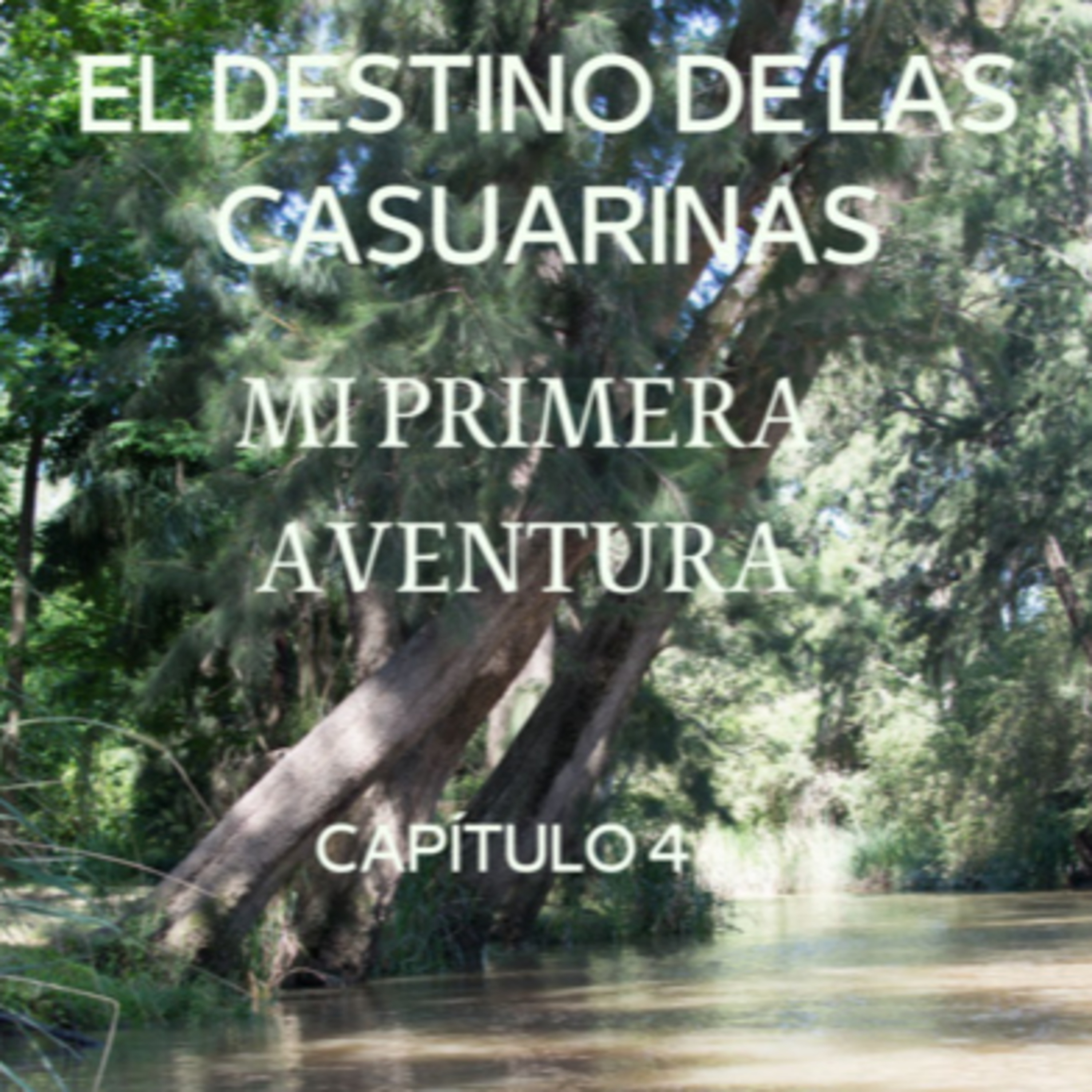 AUDIOLIBRO \