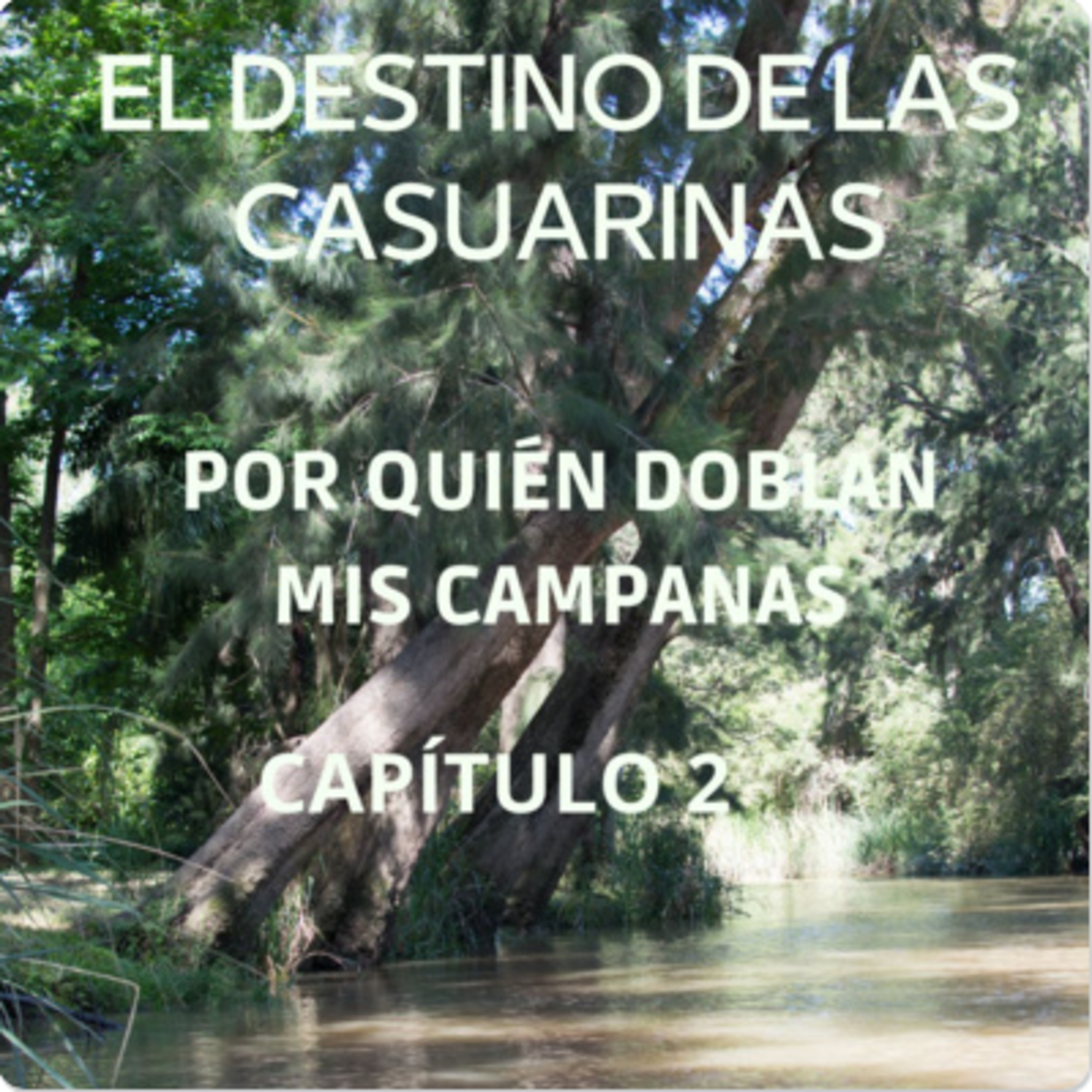 AUDIOLIBRO \