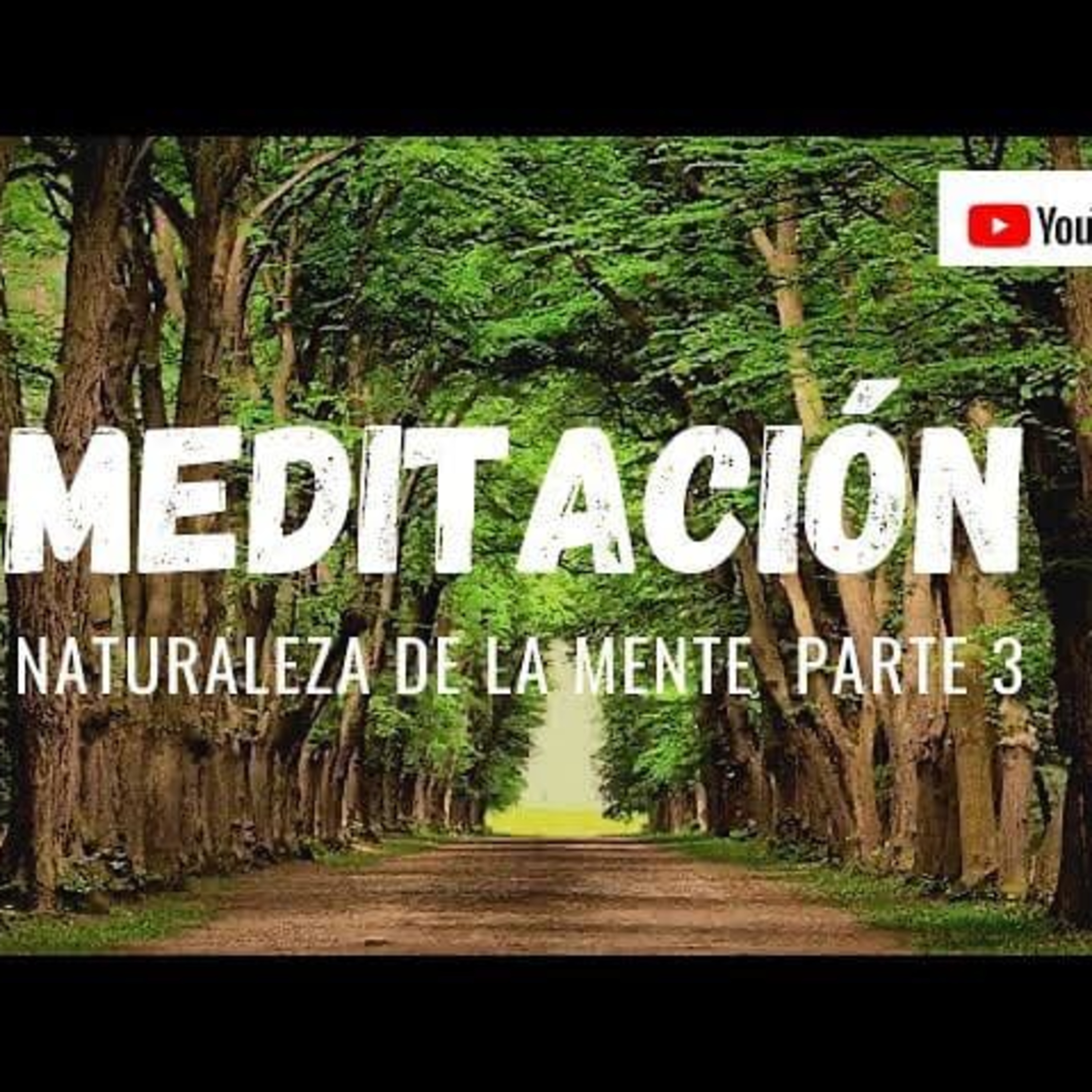 ESCUCHA TU VOZ INTERNA