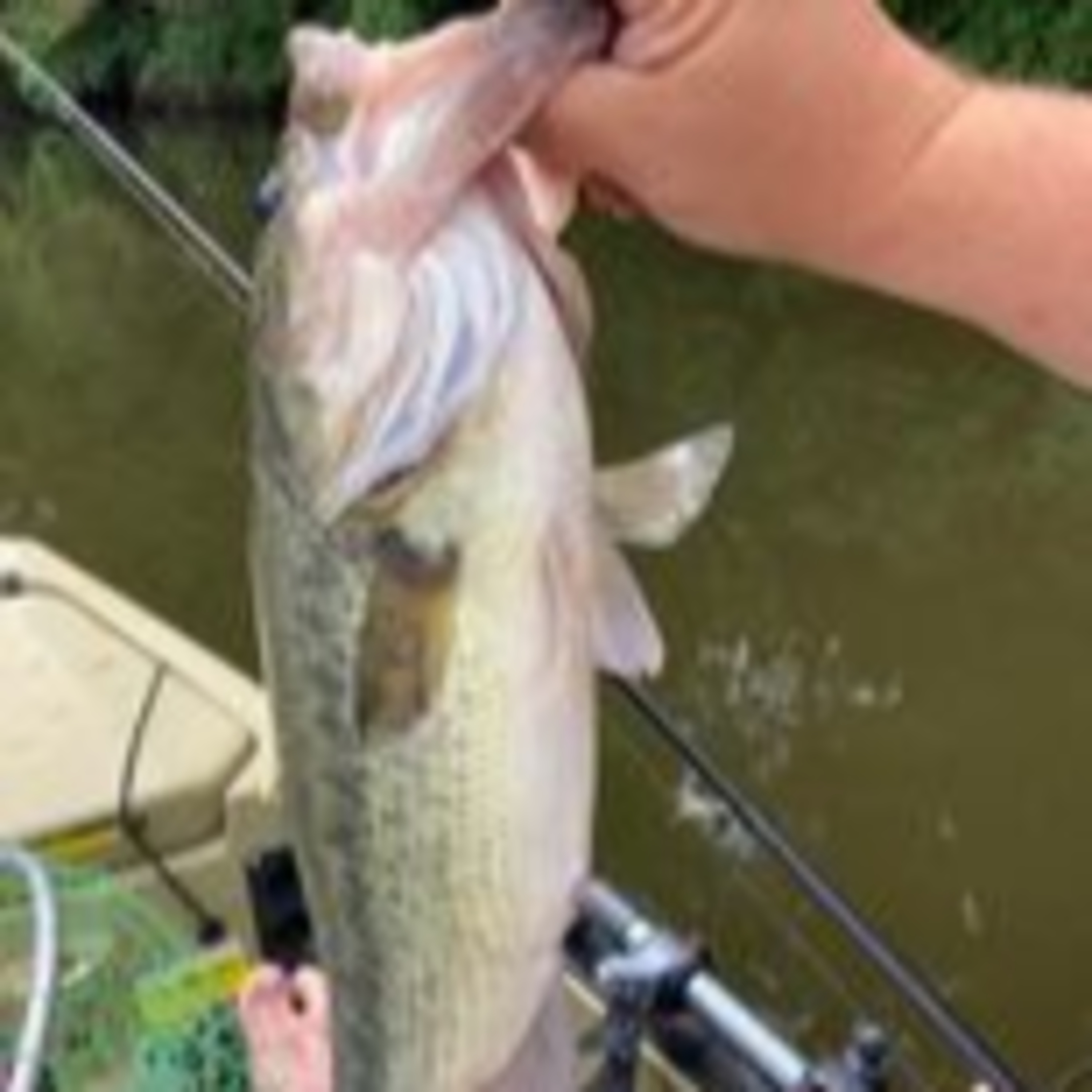 Early Spring Bass Fishin Round Table!