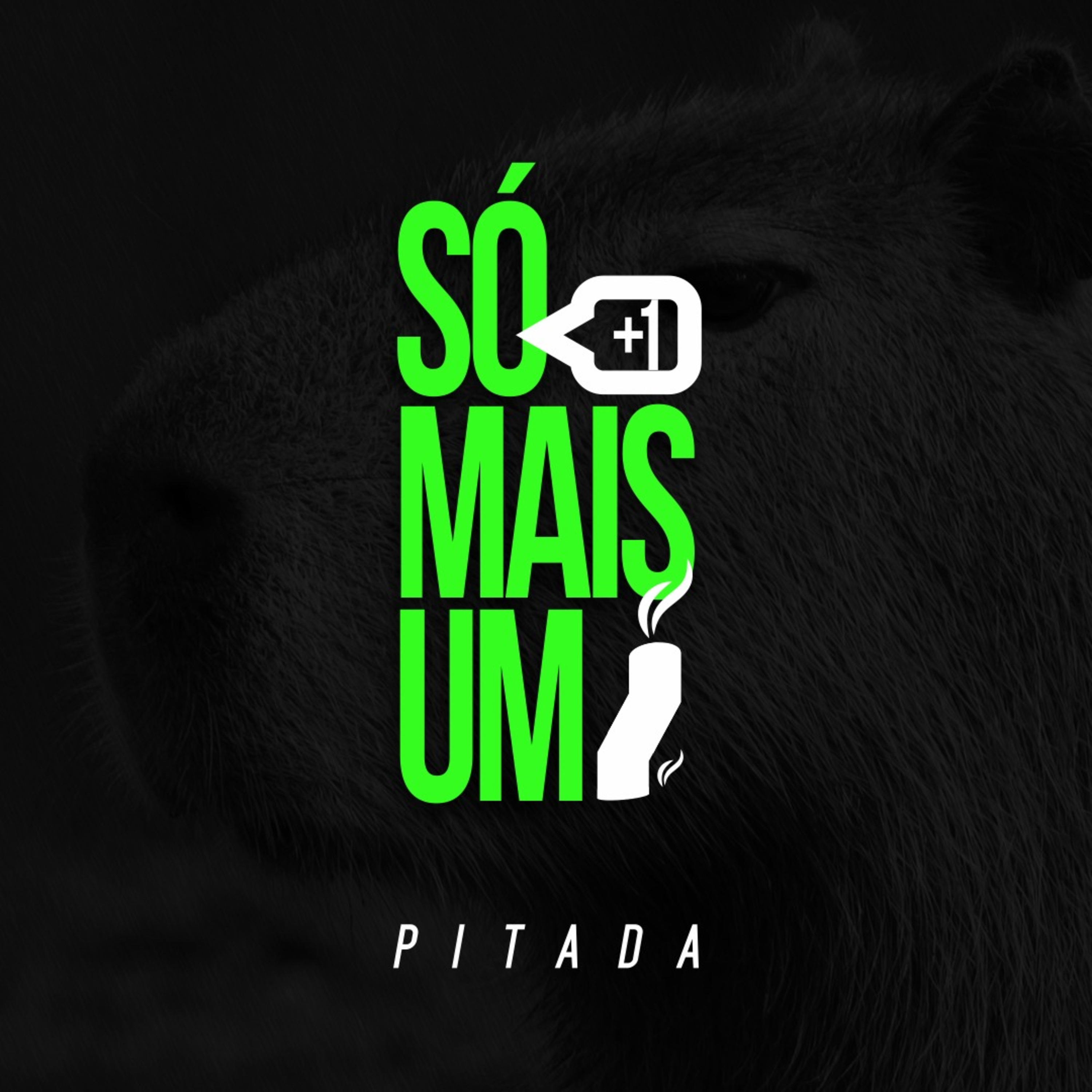Pitada