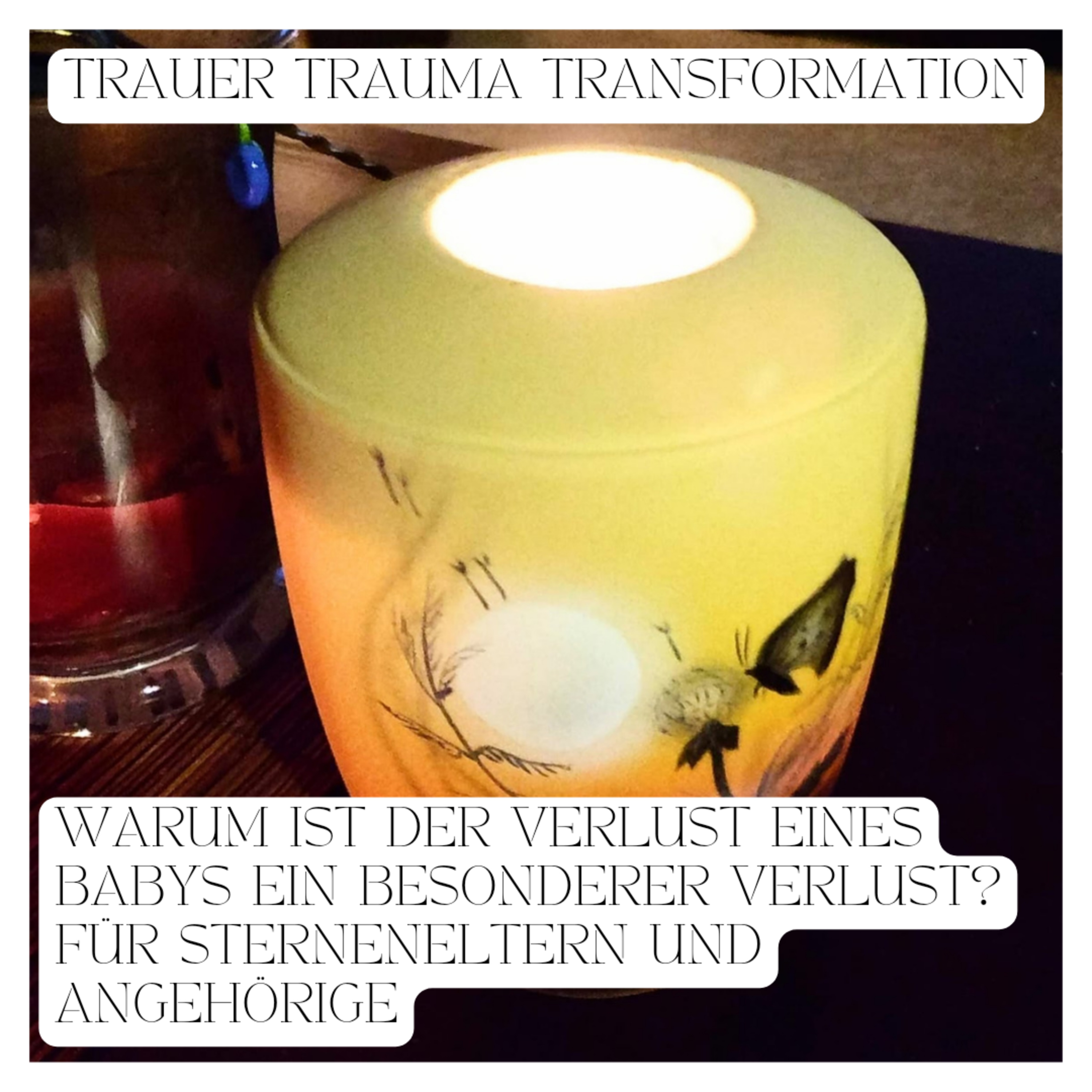 Liebe Sternenmama. Der Wegweiser für Sternenkind-Mamas.