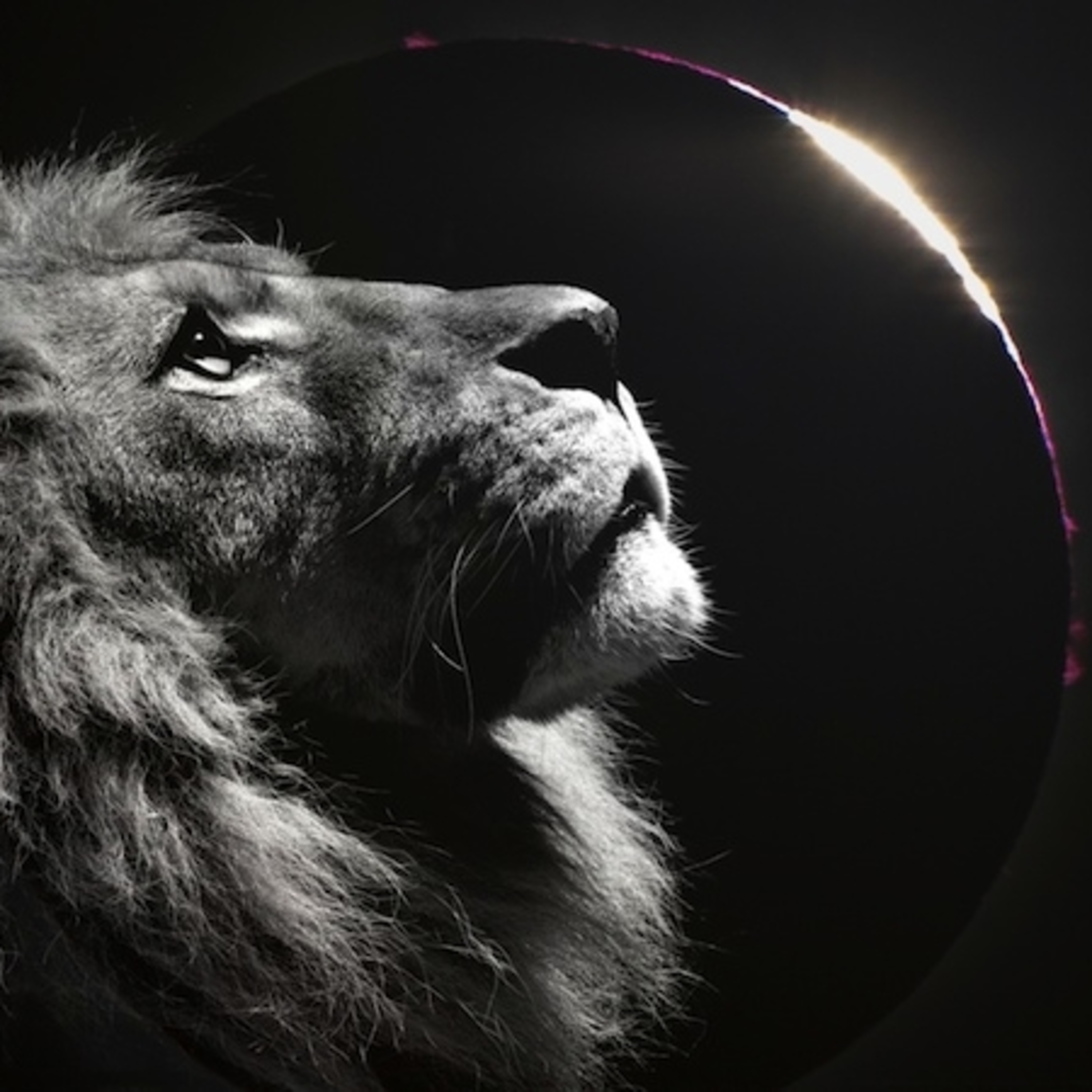 #9 - Lua Nova em Leão - 01/08/2019