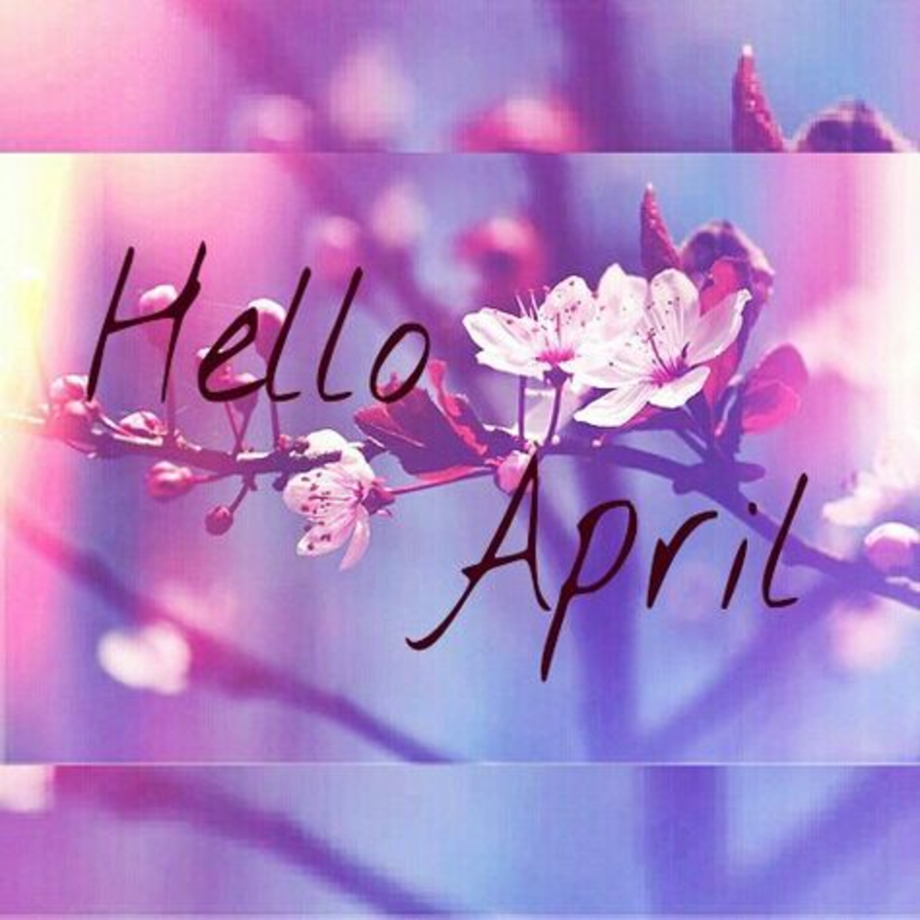Goodbye March, Hello April!💜🕊️😘 episode artwork