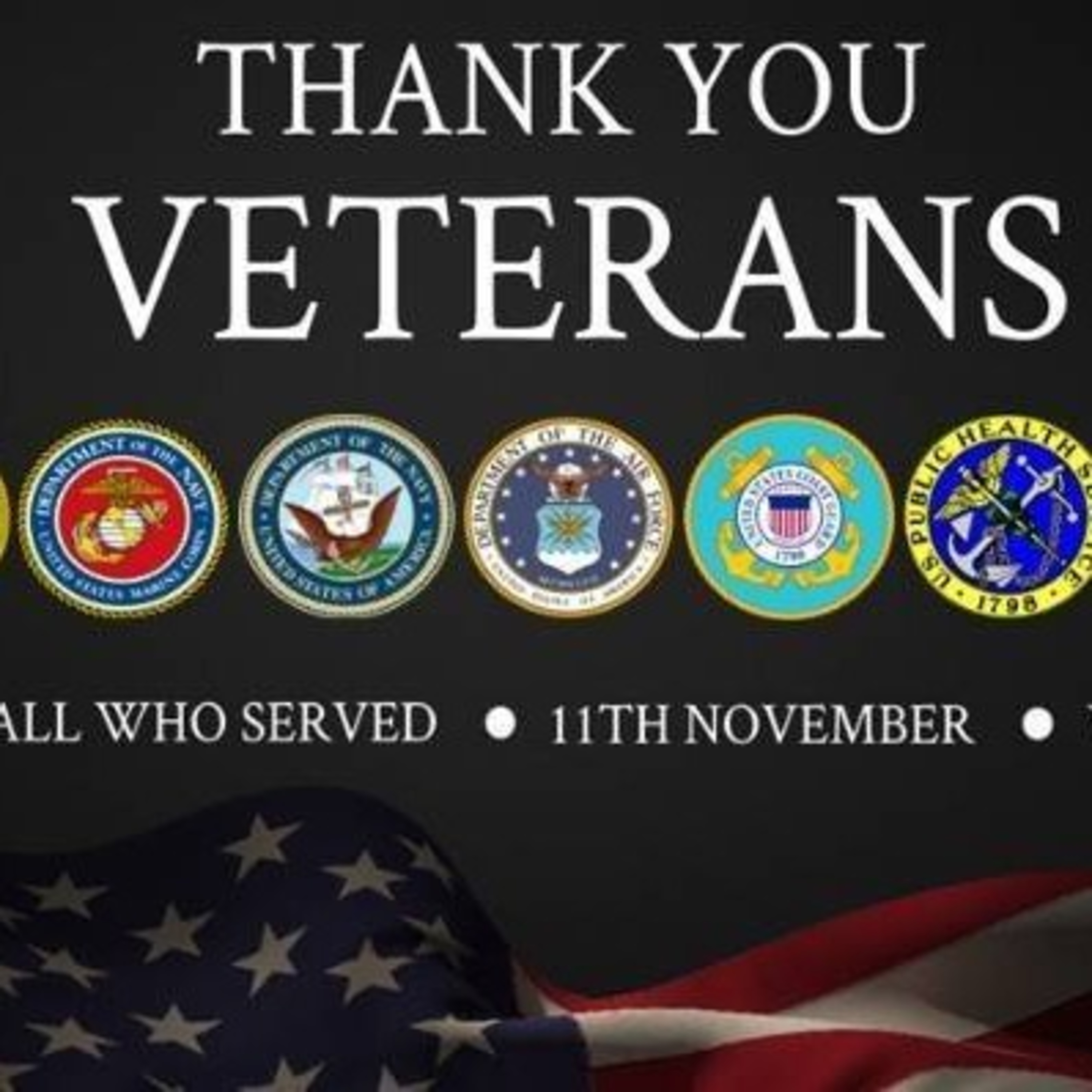 Veteran's Day 💜🇺🇲🪖🗽🎖️ episode artwork