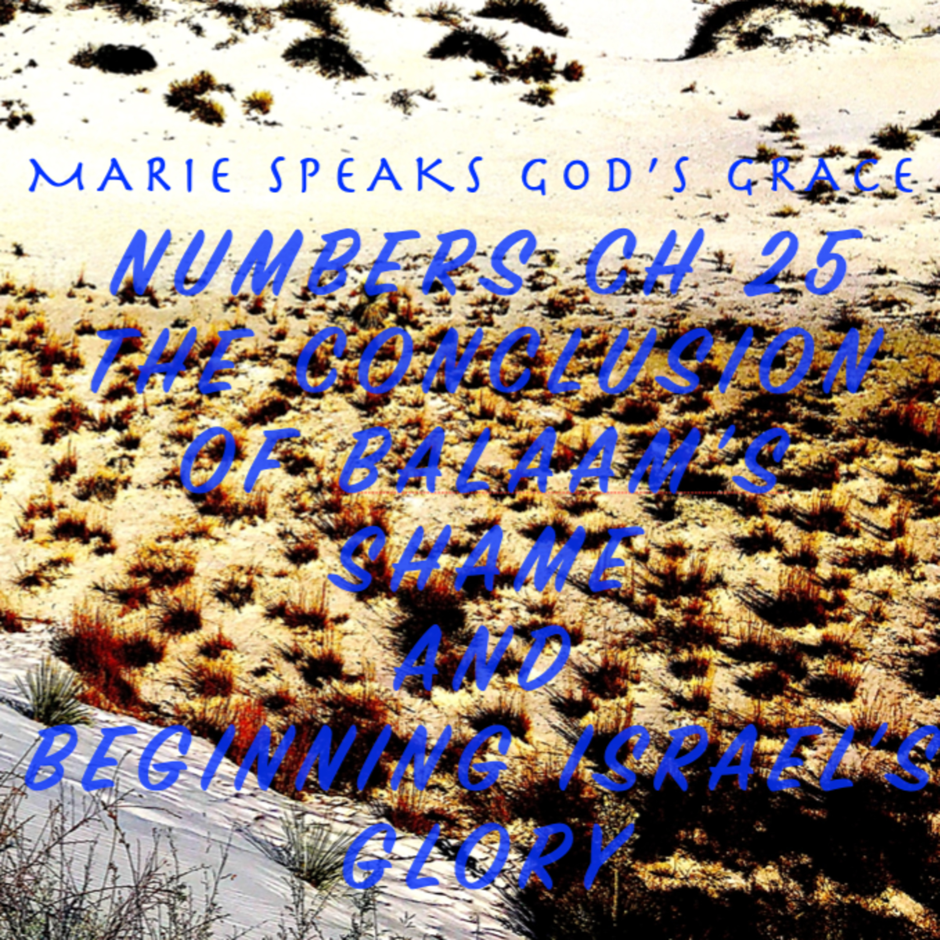 Marie Speaks G-D\'s Grace Bible Study and Meditations Of My Heart
