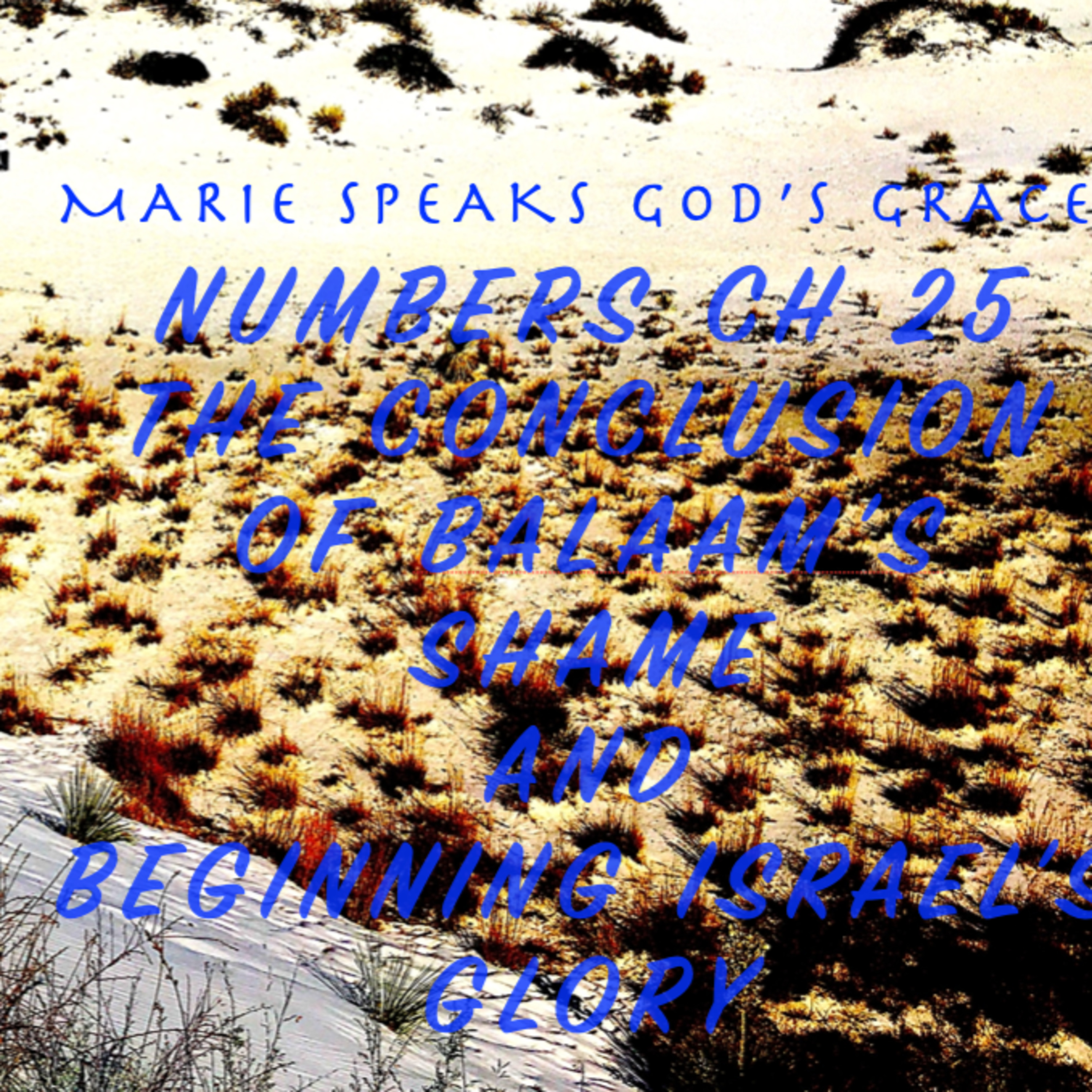 Marie Speaks G-D\'s Grace Bible Study and Meditations Of My Heart