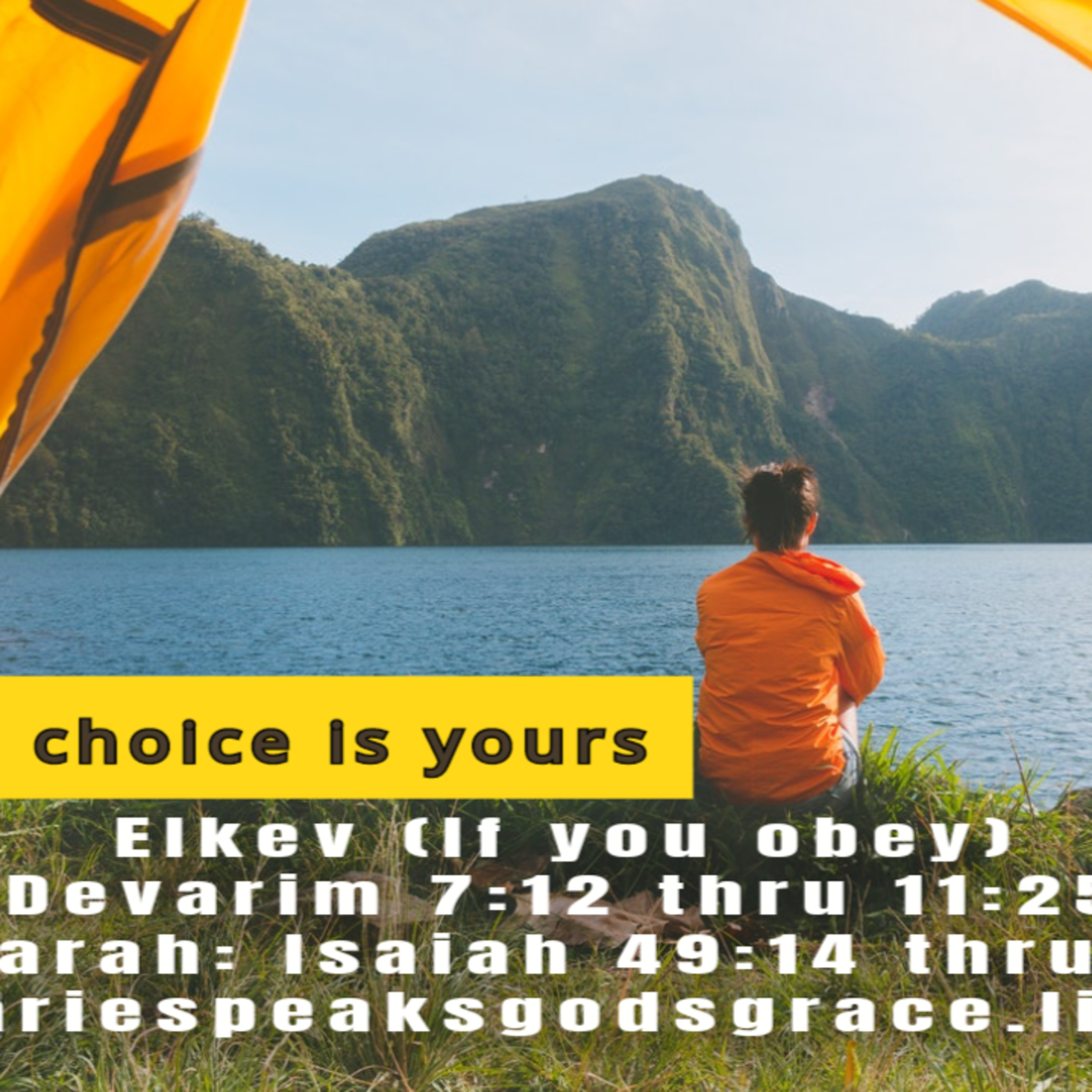 The Choice is yours…. Eikev (If you obey)Devarim 7:12 thru 11:25, Haftarah: Isaiah 49: 14 thru 51:3 episode artwork