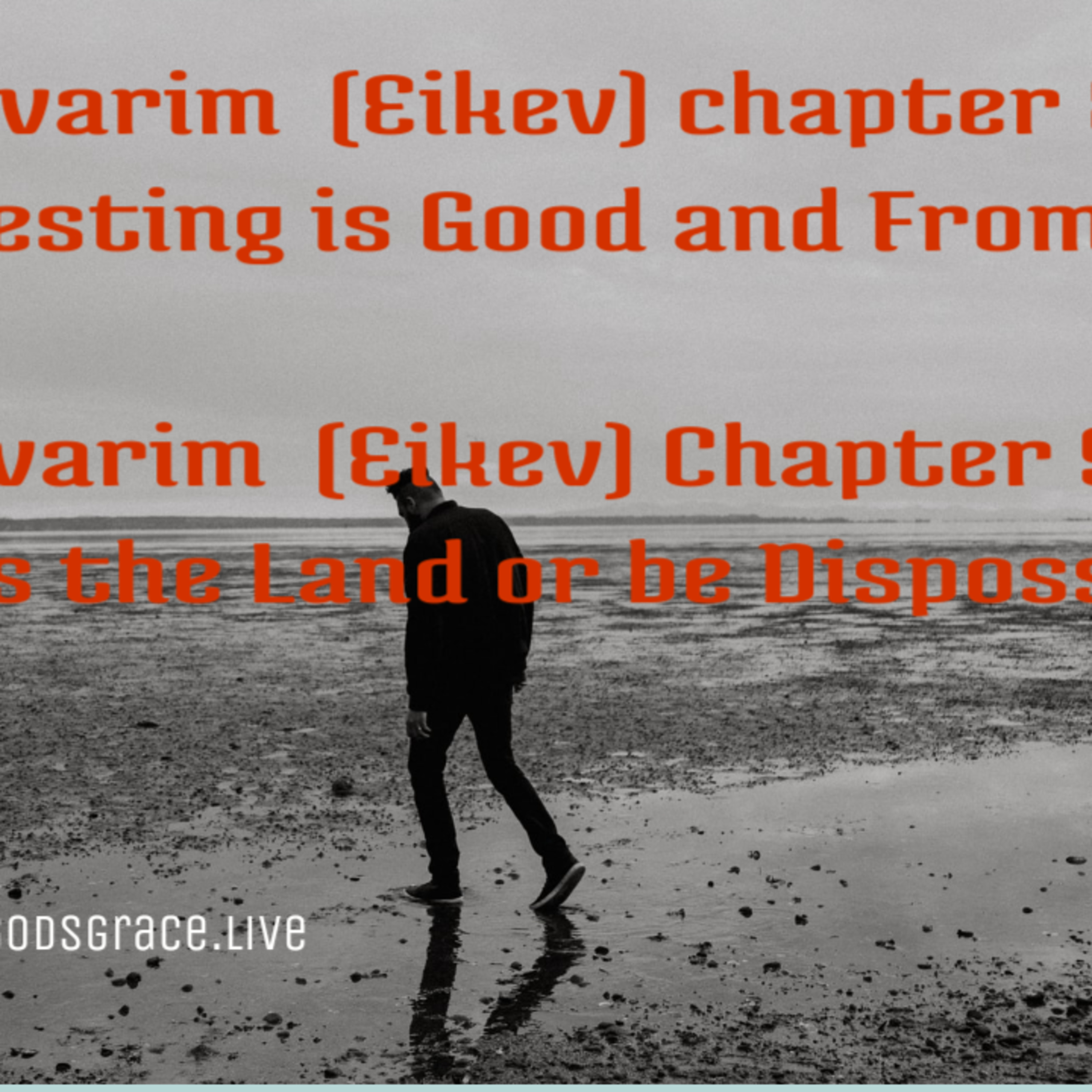Devarim: chapter 8- The Testing is Good and From G-D & Chapter 9- Possess the Land or be Dispossessed episode artwork