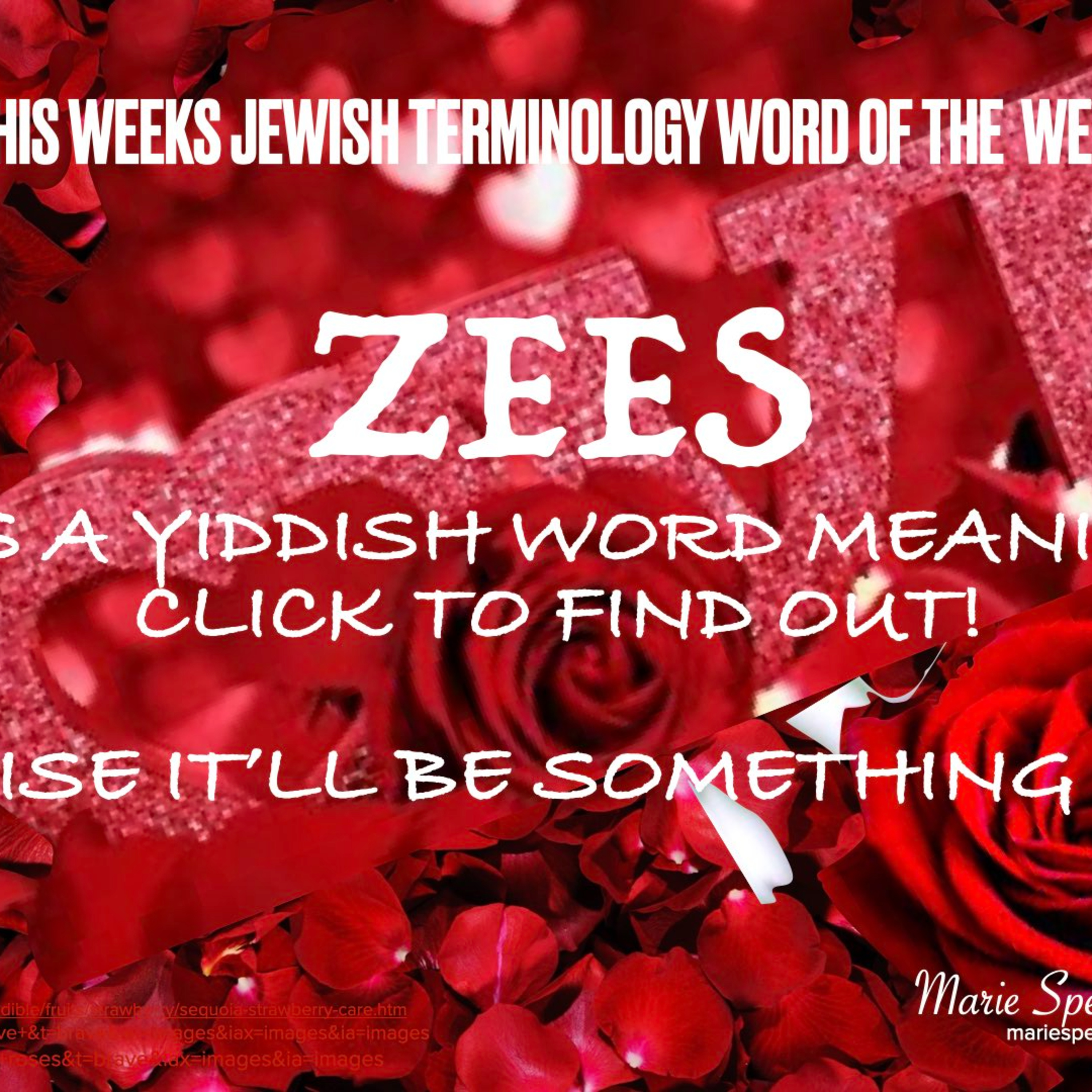 This week’s Jewish terminology word is: zees episode artwork