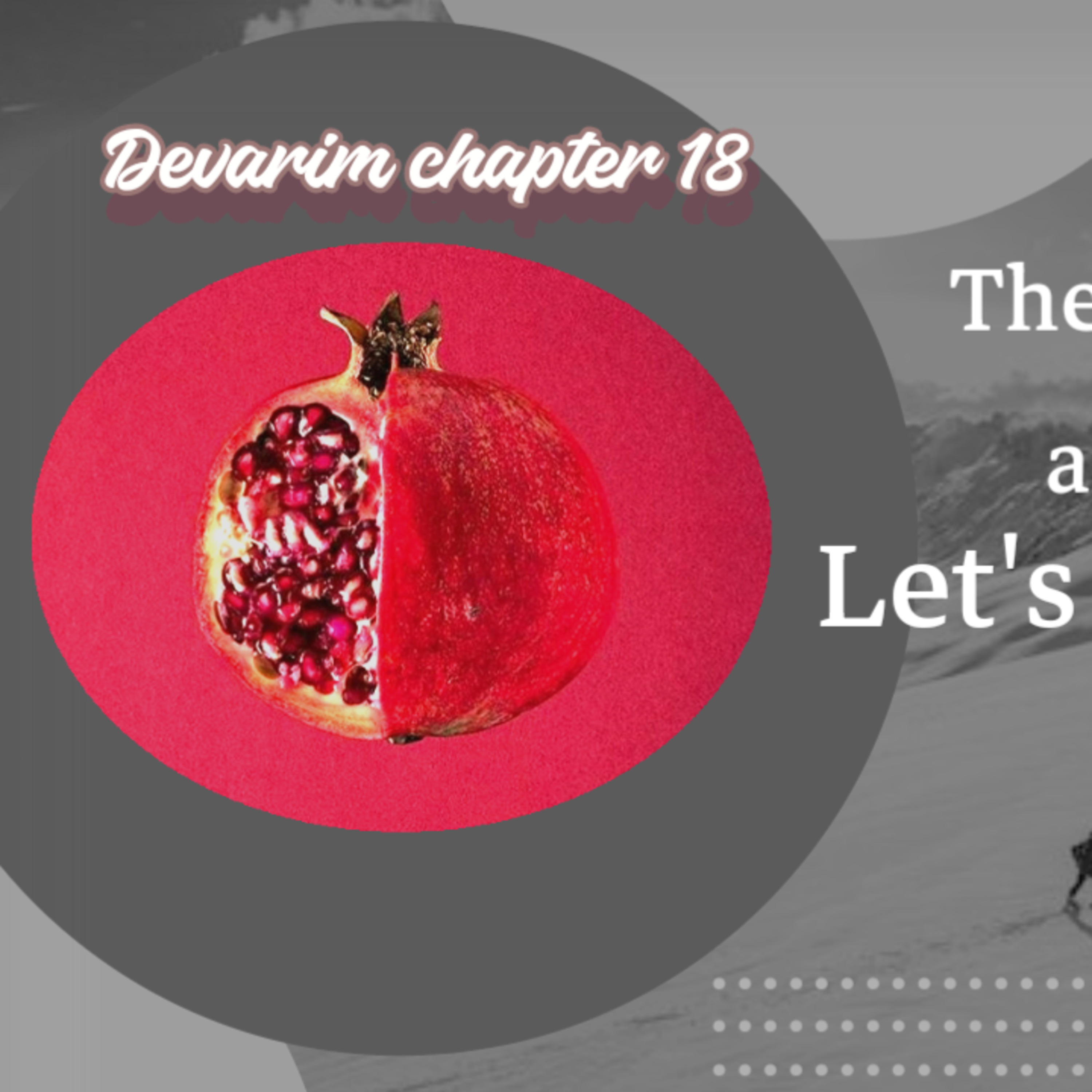 Devarim chapter 18: The Kohen, The Levitical Priest, and The Levites… let’s play our role! episode artwork