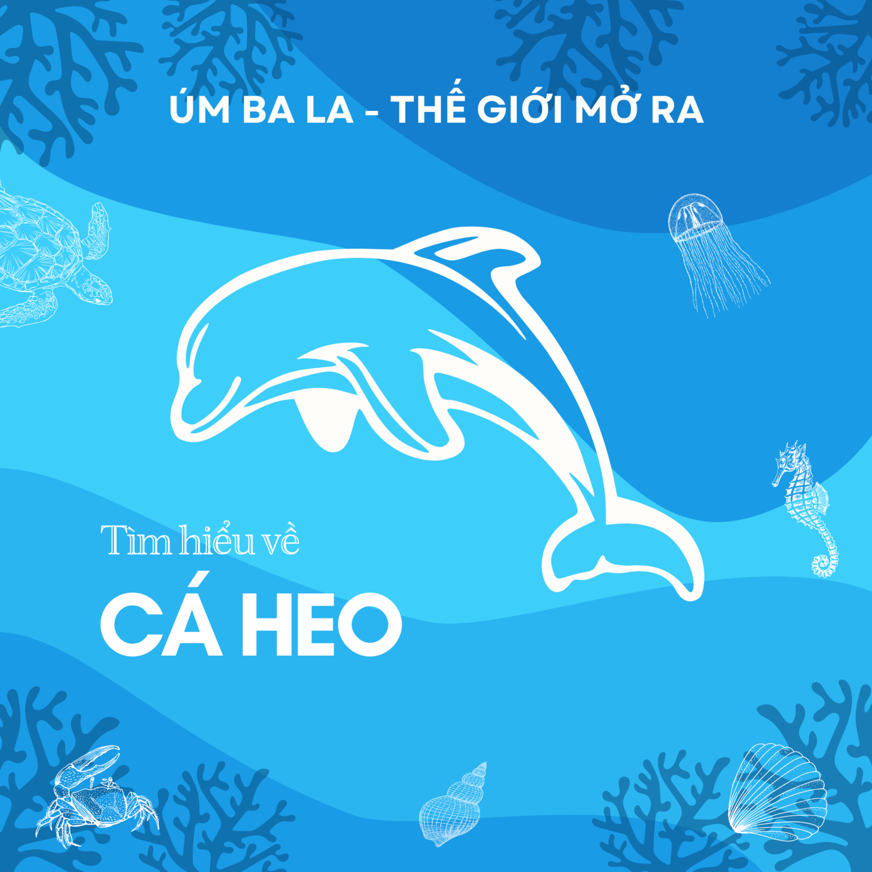 UBLTGMR - TÌM HIỂU VỀ CÁ HEO  episode artwork