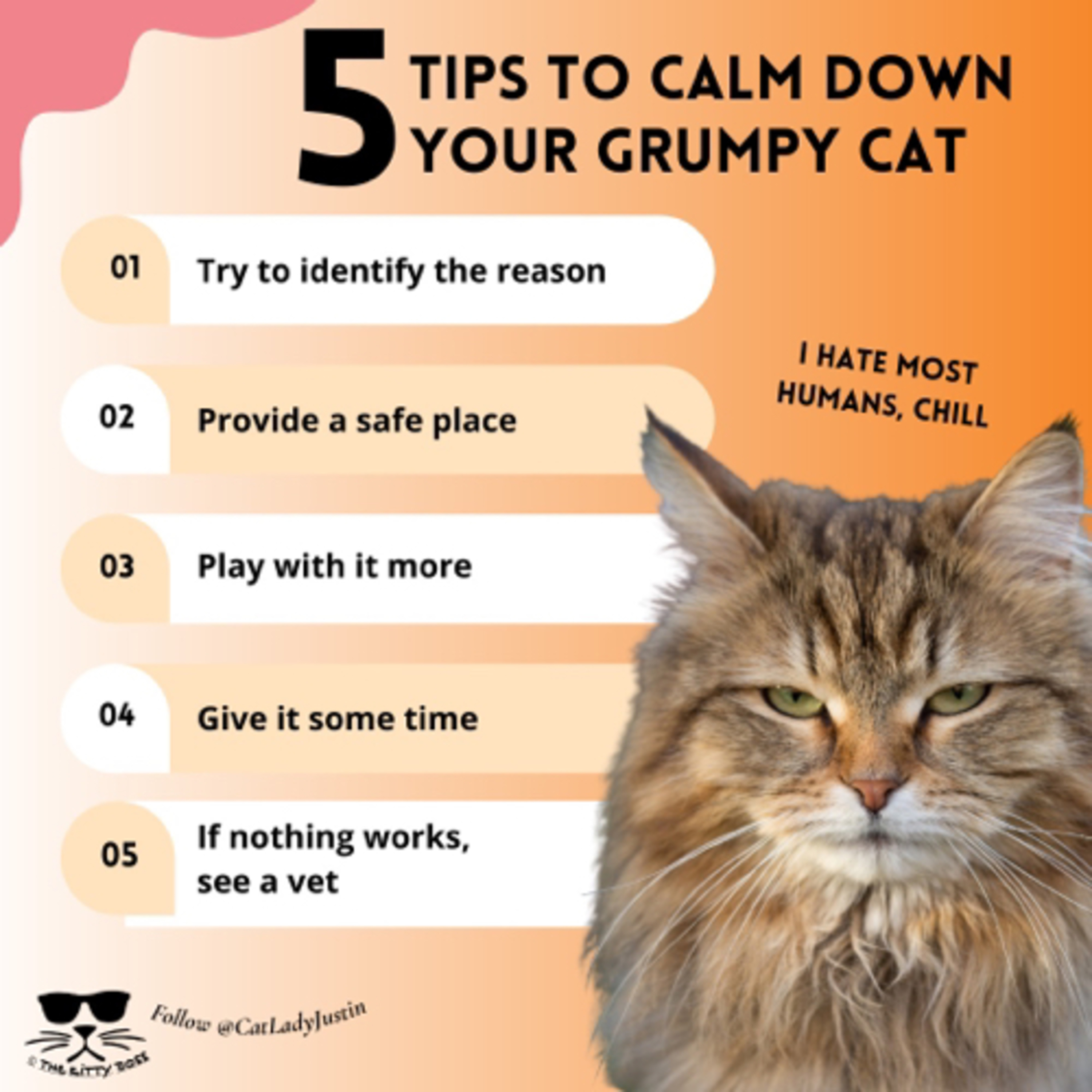 What To Do If Your Cat Hates You episode artwork