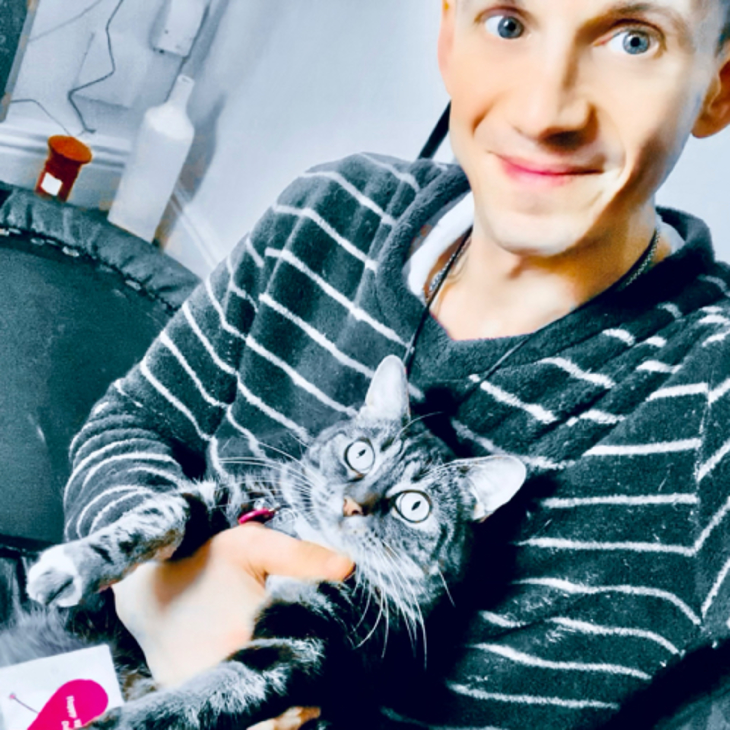 Why your cats let you touch their paws episode artwork