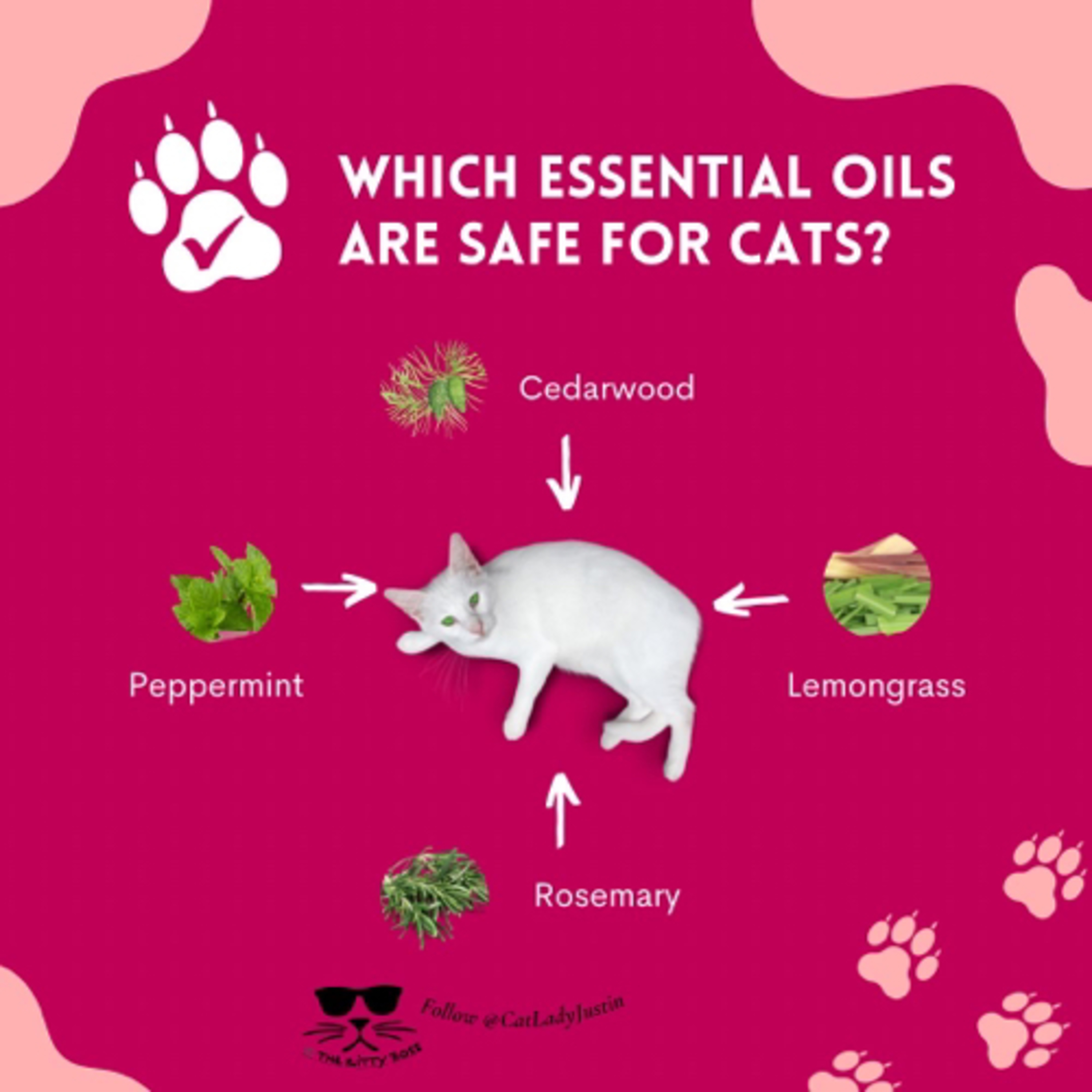 Which Essential Oils Are Safe? episode artwork