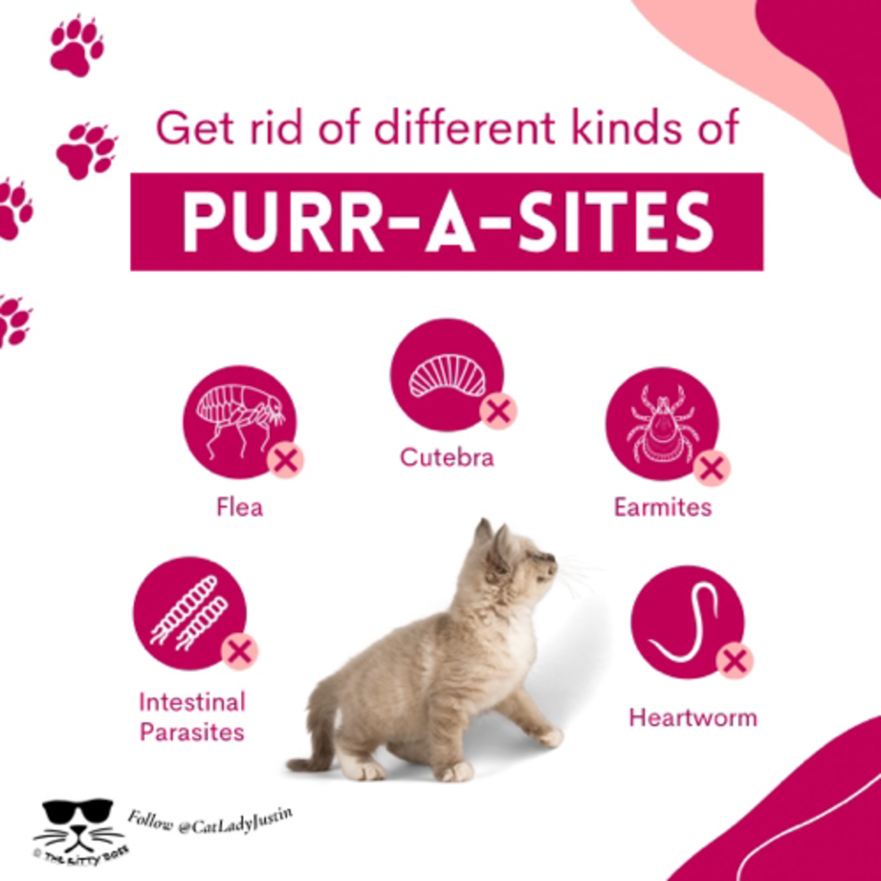 Purr-A-Sites episode artwork