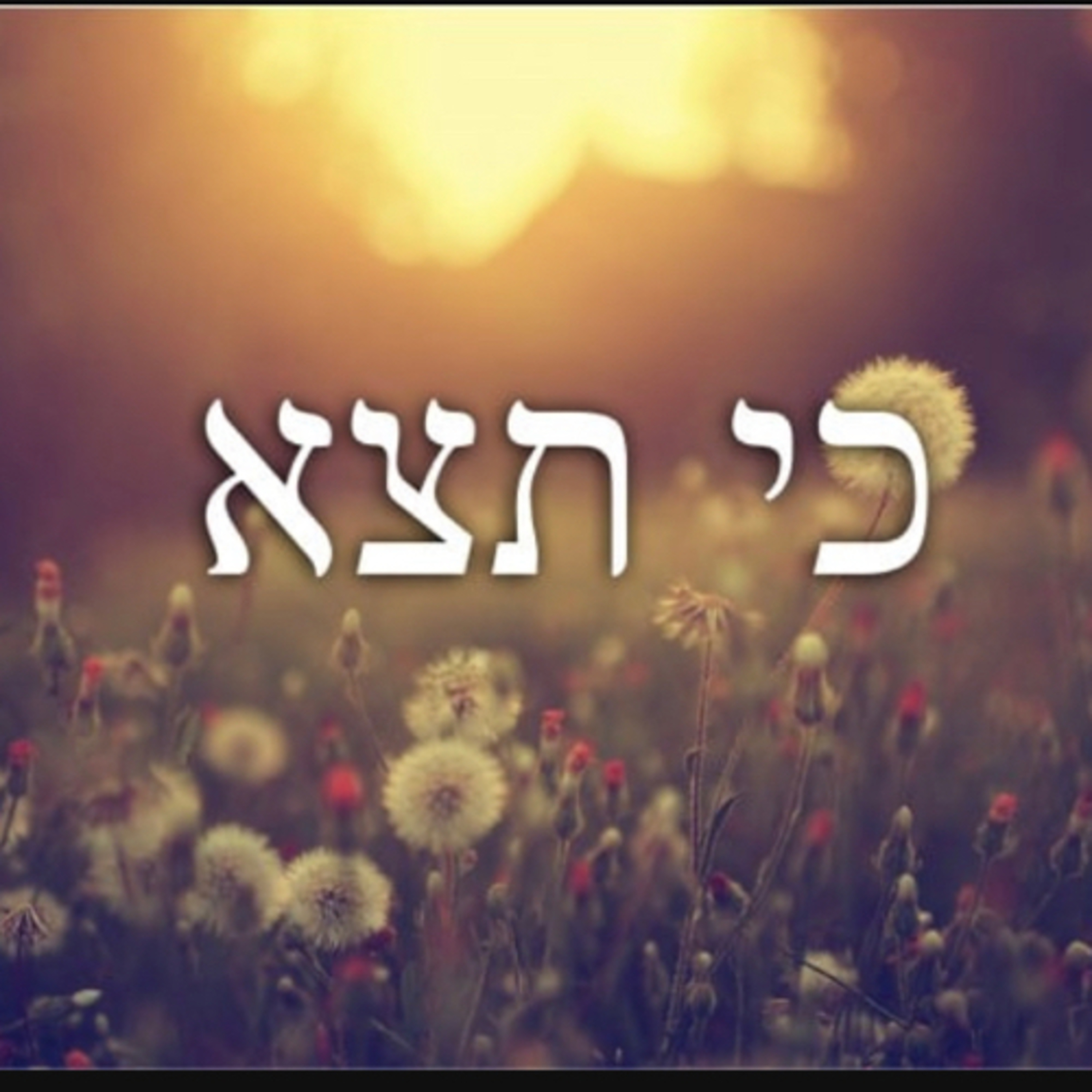 Footsteps of the Messiah
