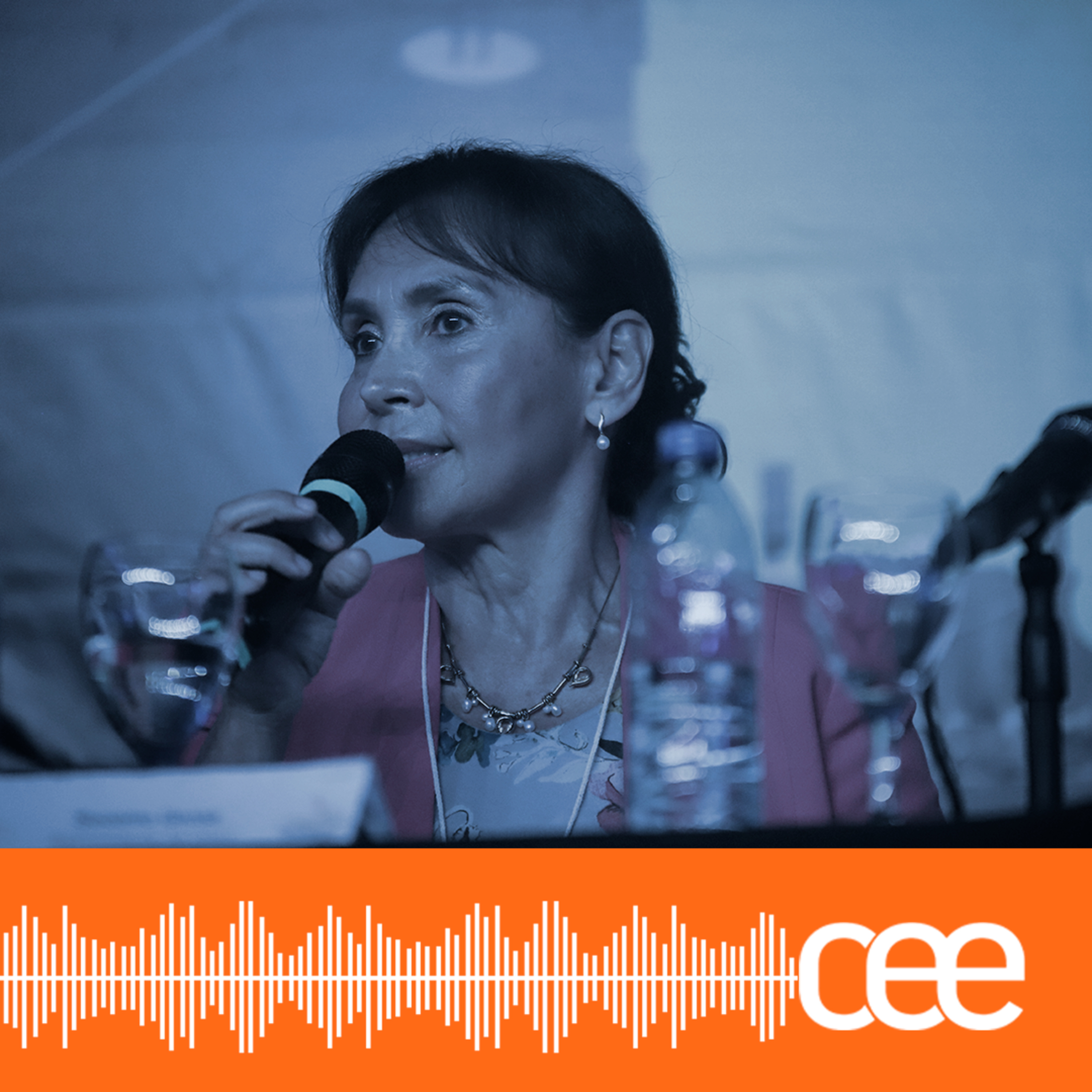 CEE podcast