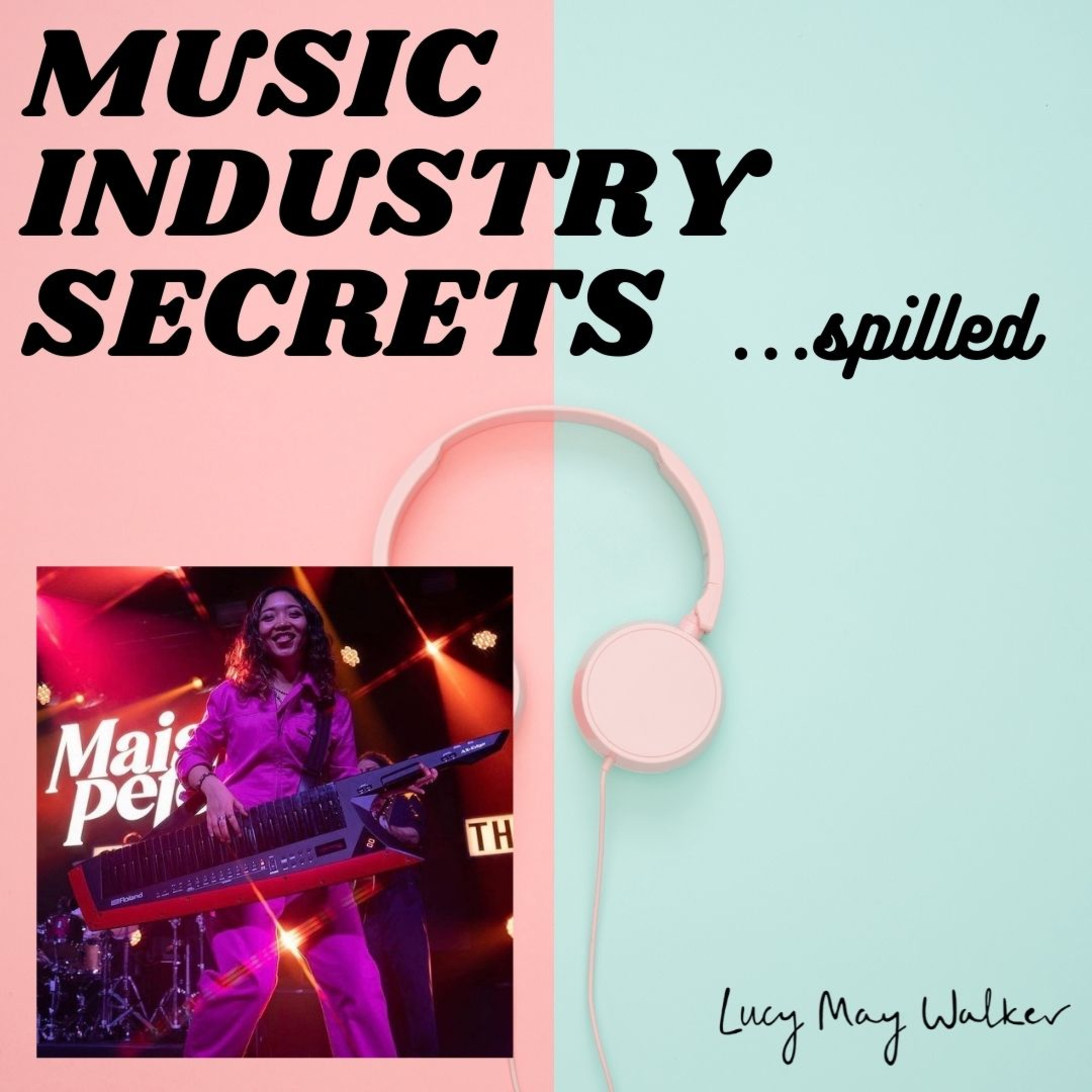 Music Industry Secrets... Spilled